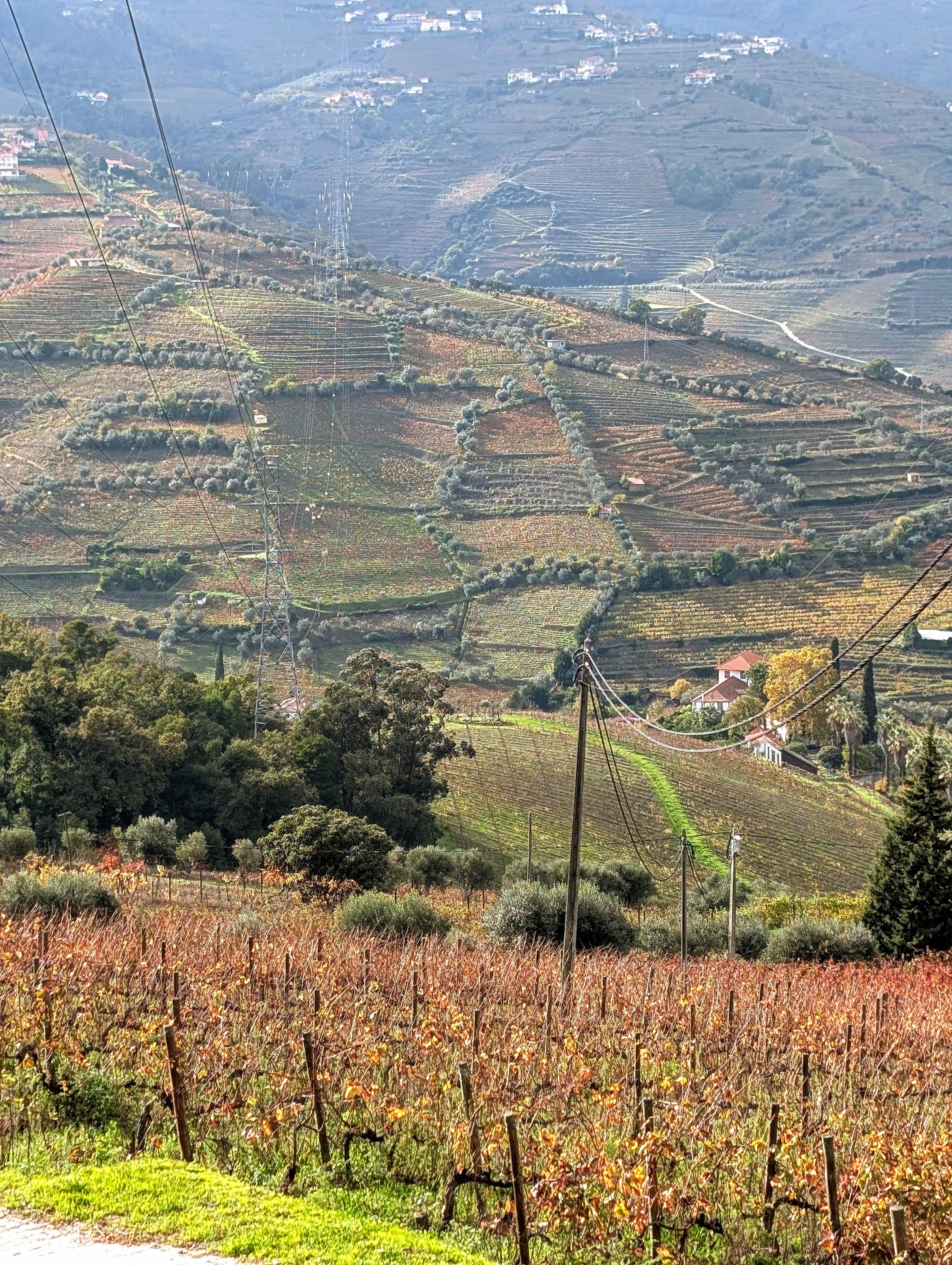 Porto: Douro Valley & Vinho Verde Day Tour with Tastings, Lunch & Boat Cruise