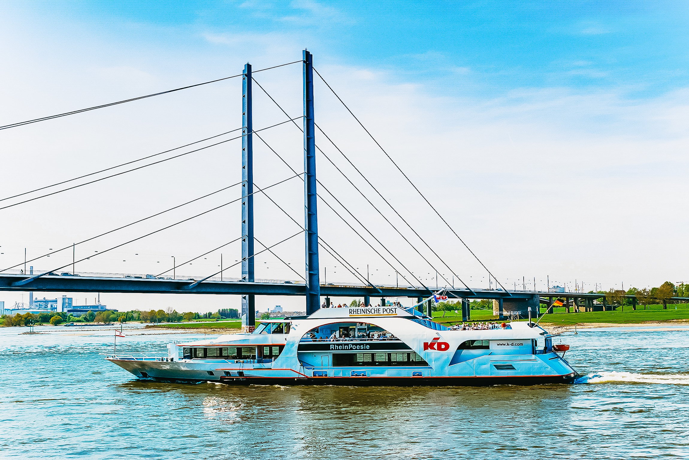 Rhine River Sightseeing Cruise