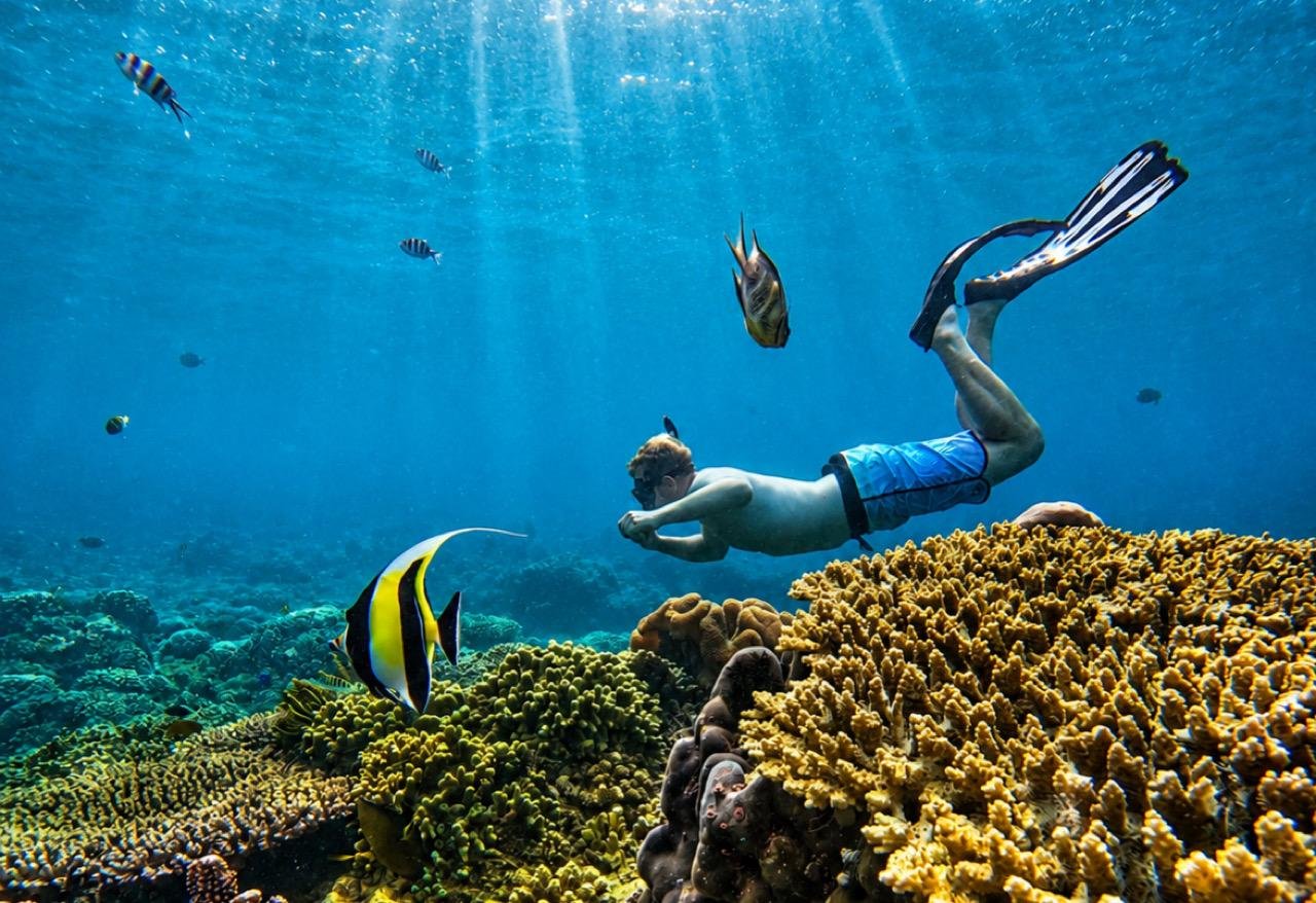 Blue Lagoon Snorkeling & Ubud Cultural Discovery