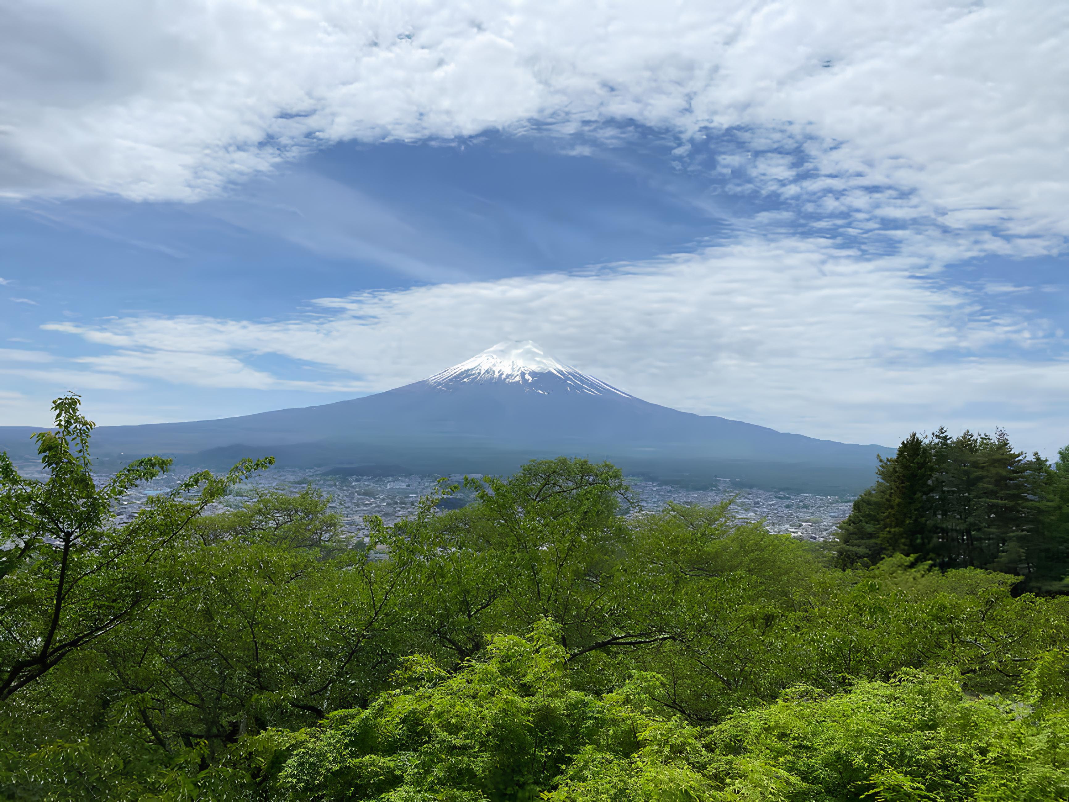 Private Tokyo Day Trip: Mount Fuji & Hakone with English-Speaking Driver