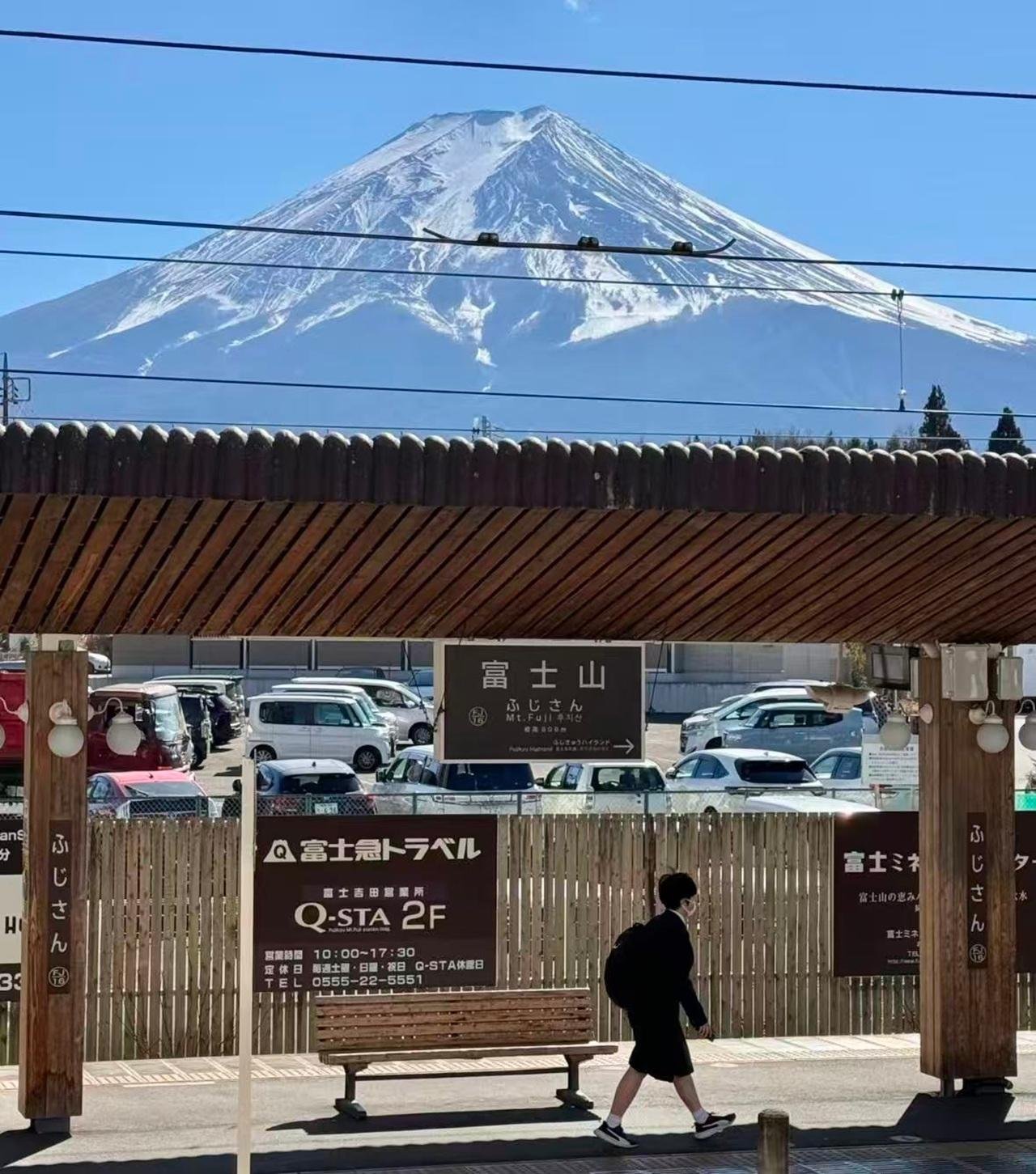 Mt. Fuji Seasonal Discovery: Fruit Picking & Scenic Train Day Tour
