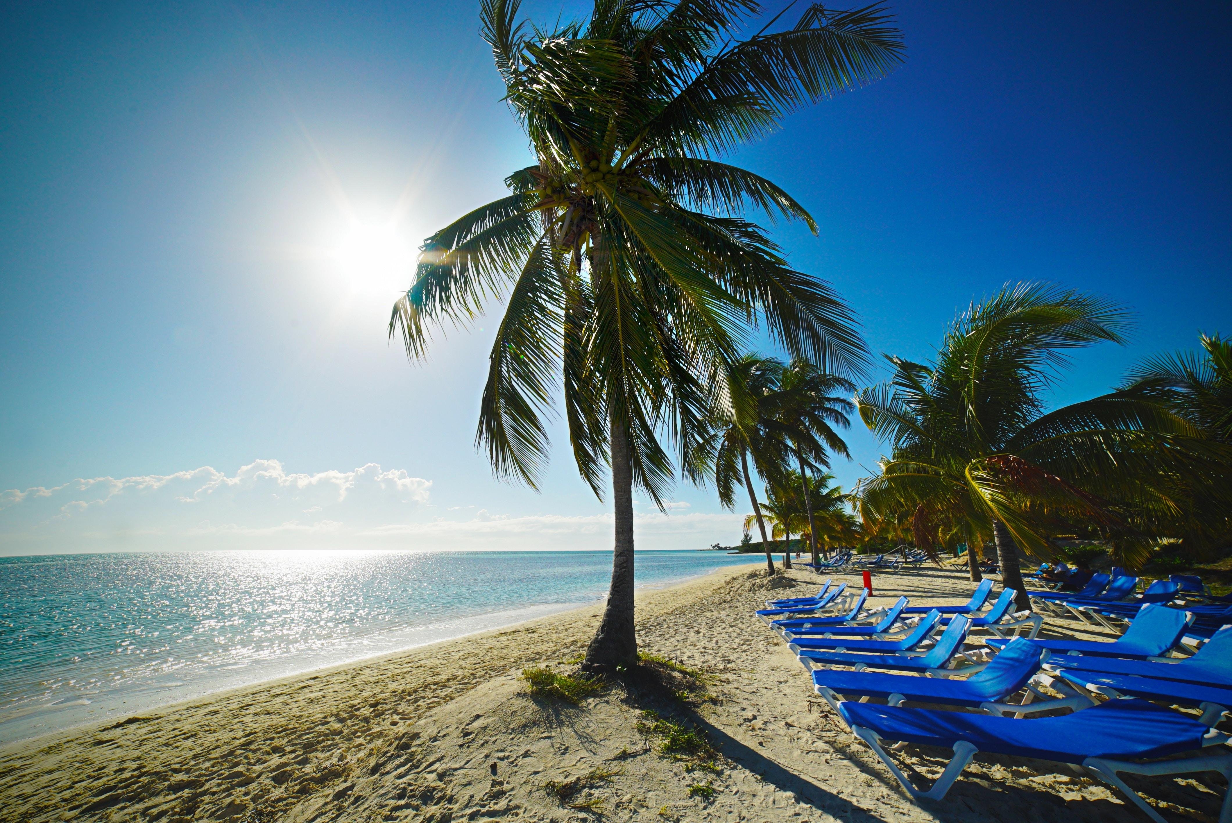 Bahamas Day Escape: Bimini or Grand Bahama Ferry