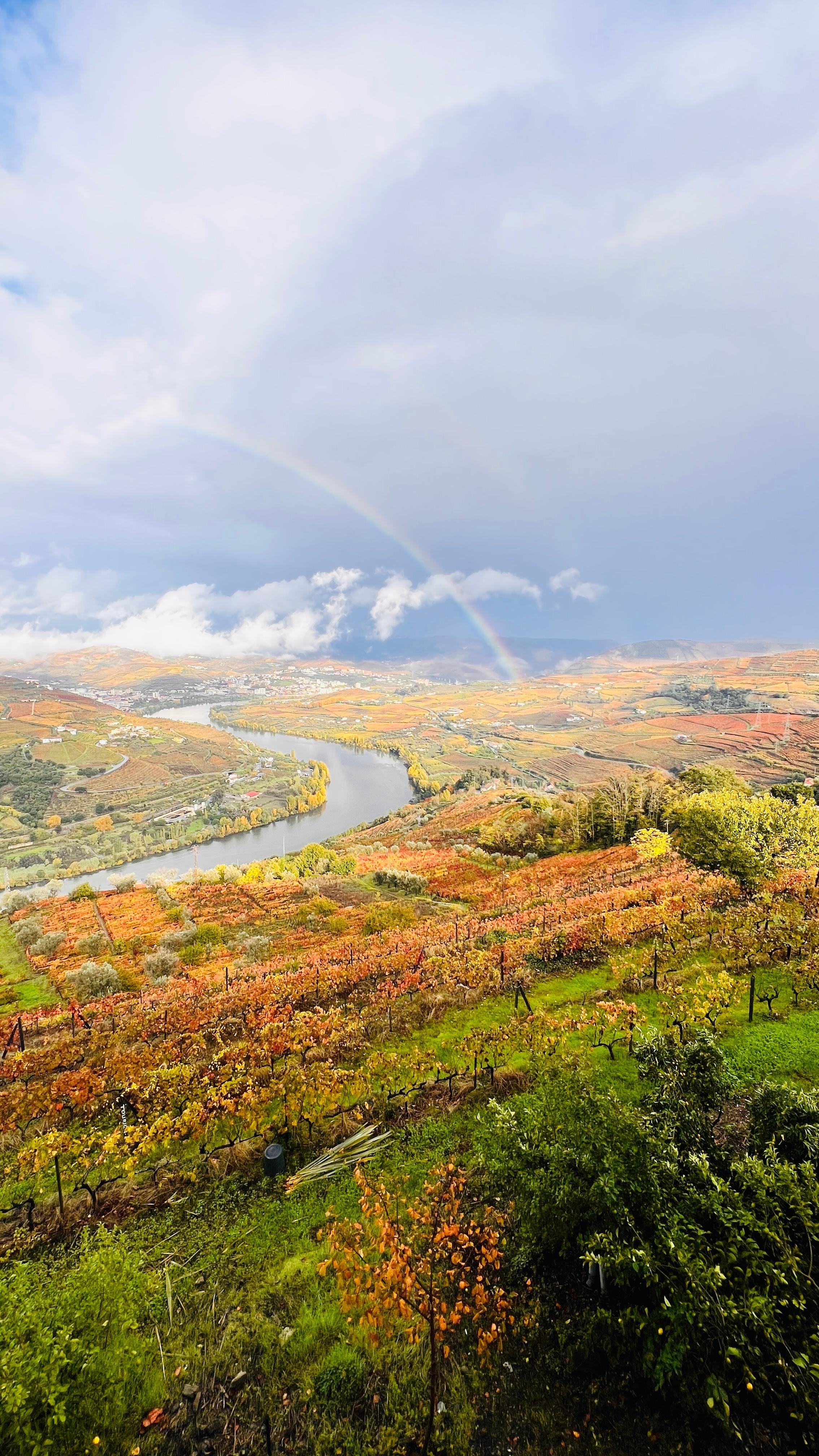 Lisbon: 2-Day Douro Valley Wine & River Cruise Experience