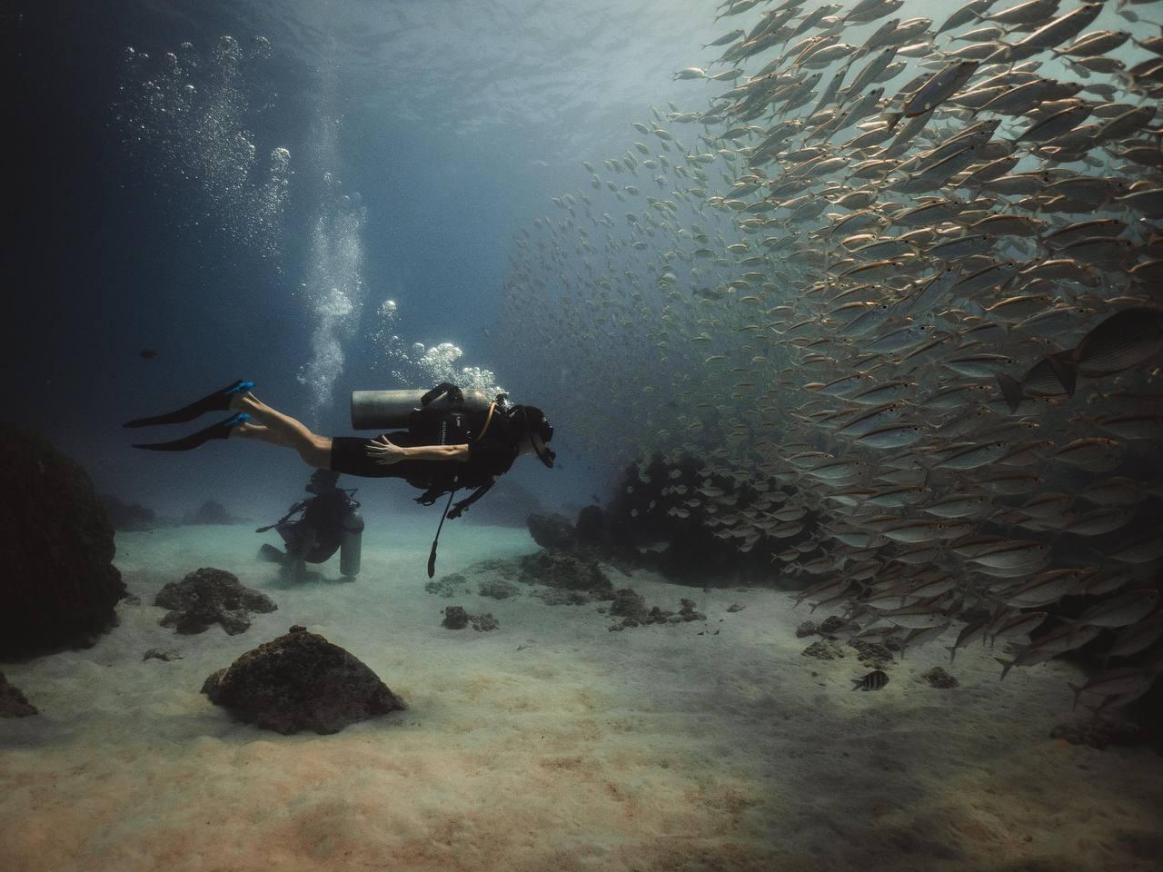 3-Dive Certification Expedition: Phi Phi Islands & Shark Point