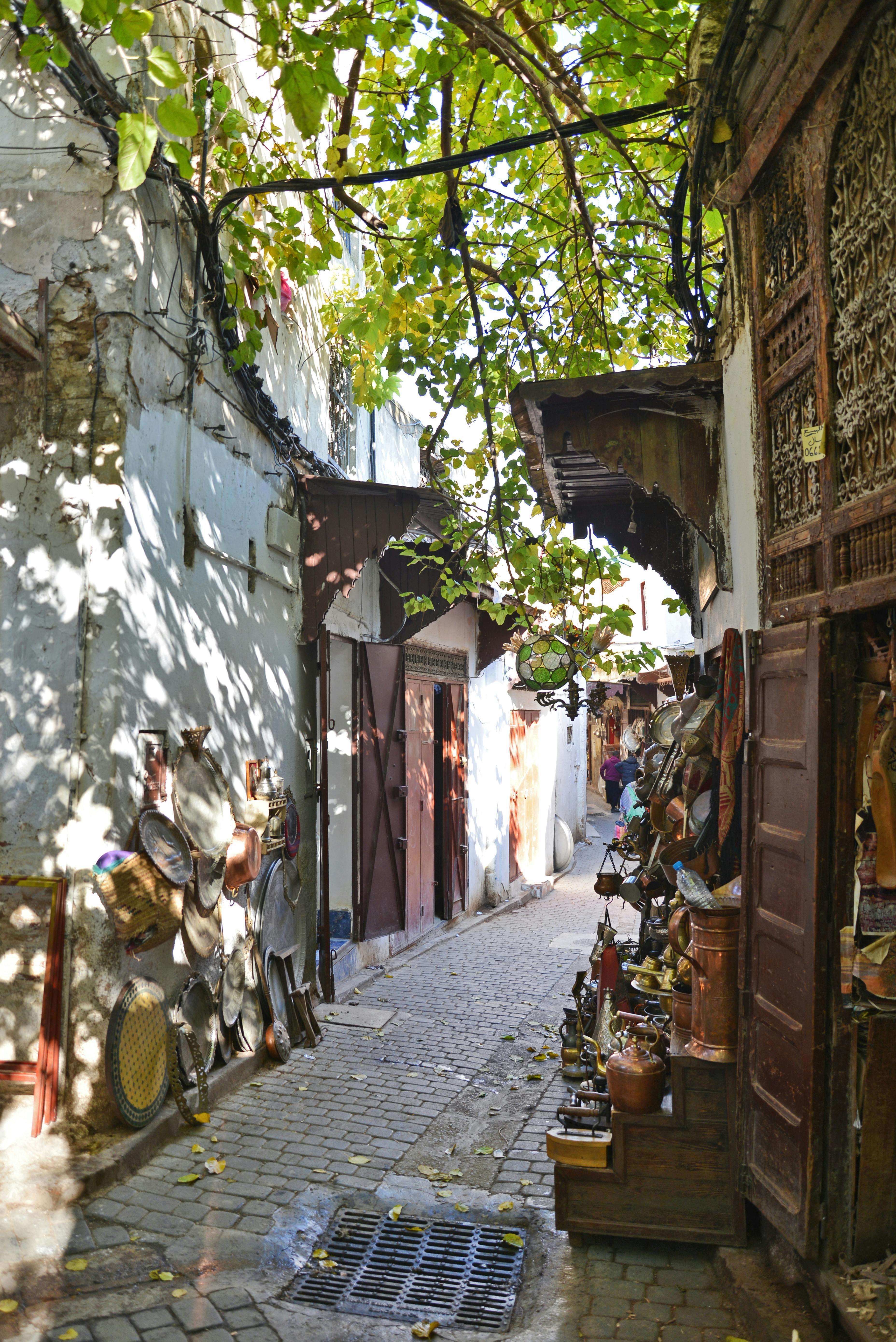 Fez Old Medina Guided Walking Tour