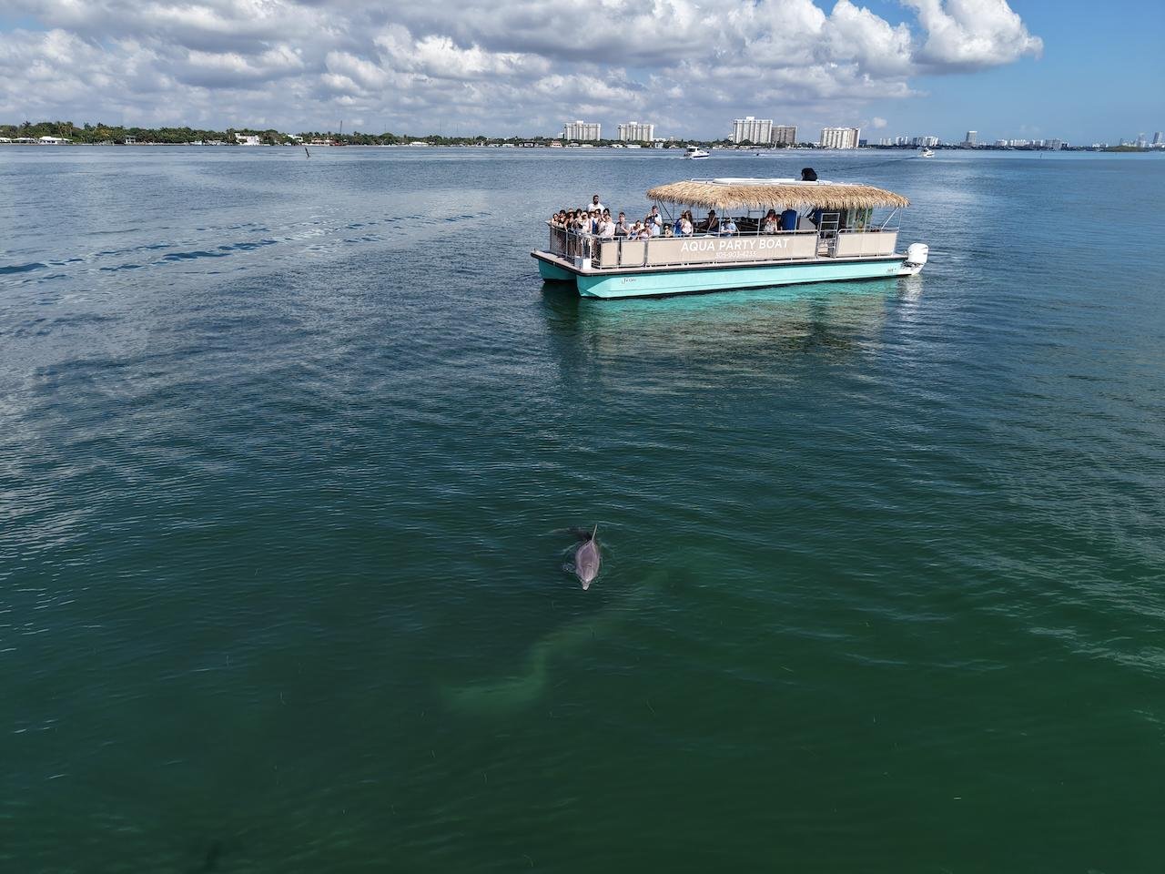 Raccoon Island Miami tour — Biscayne Bay wildlife boat cruise — image 26