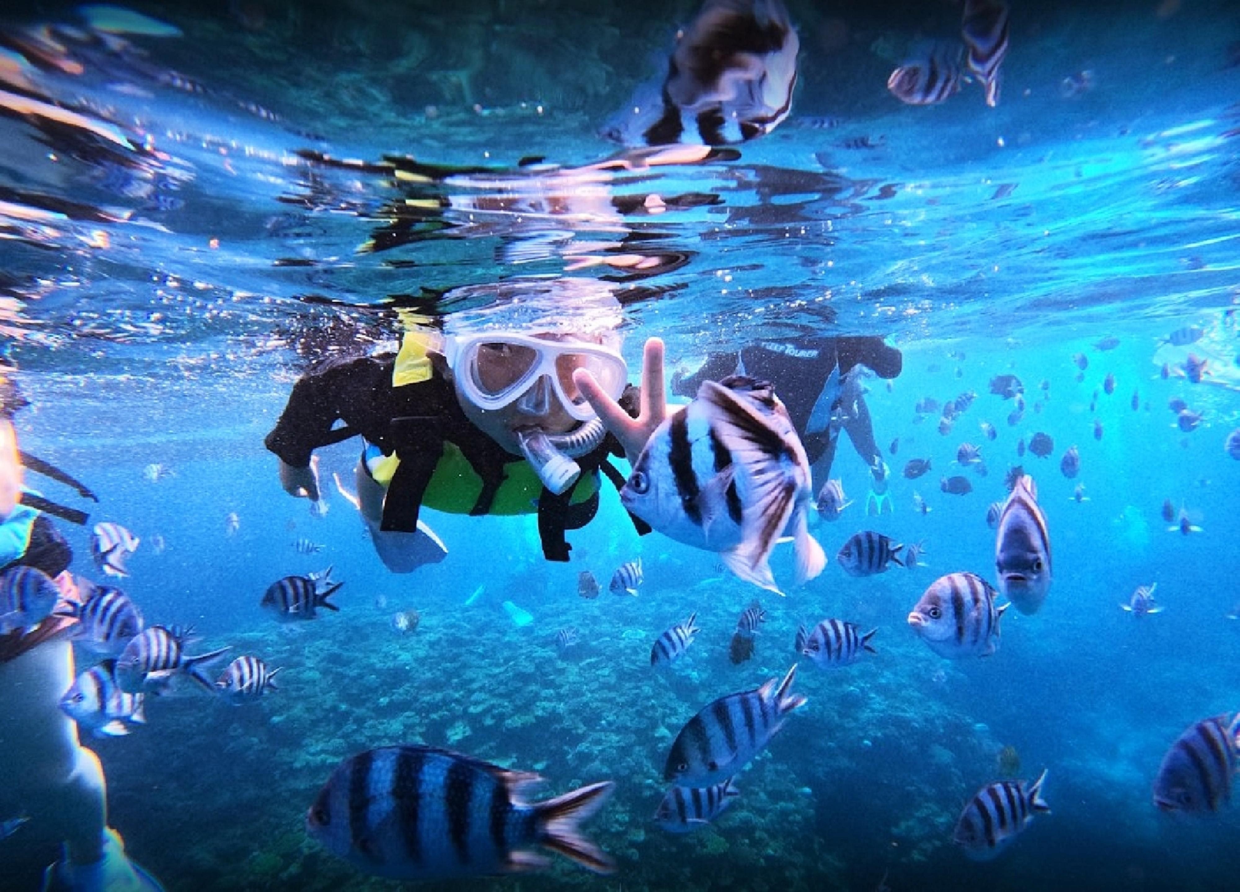 Okinawa: Blue Cave Boat Snorkeling with Free Gopro Photos