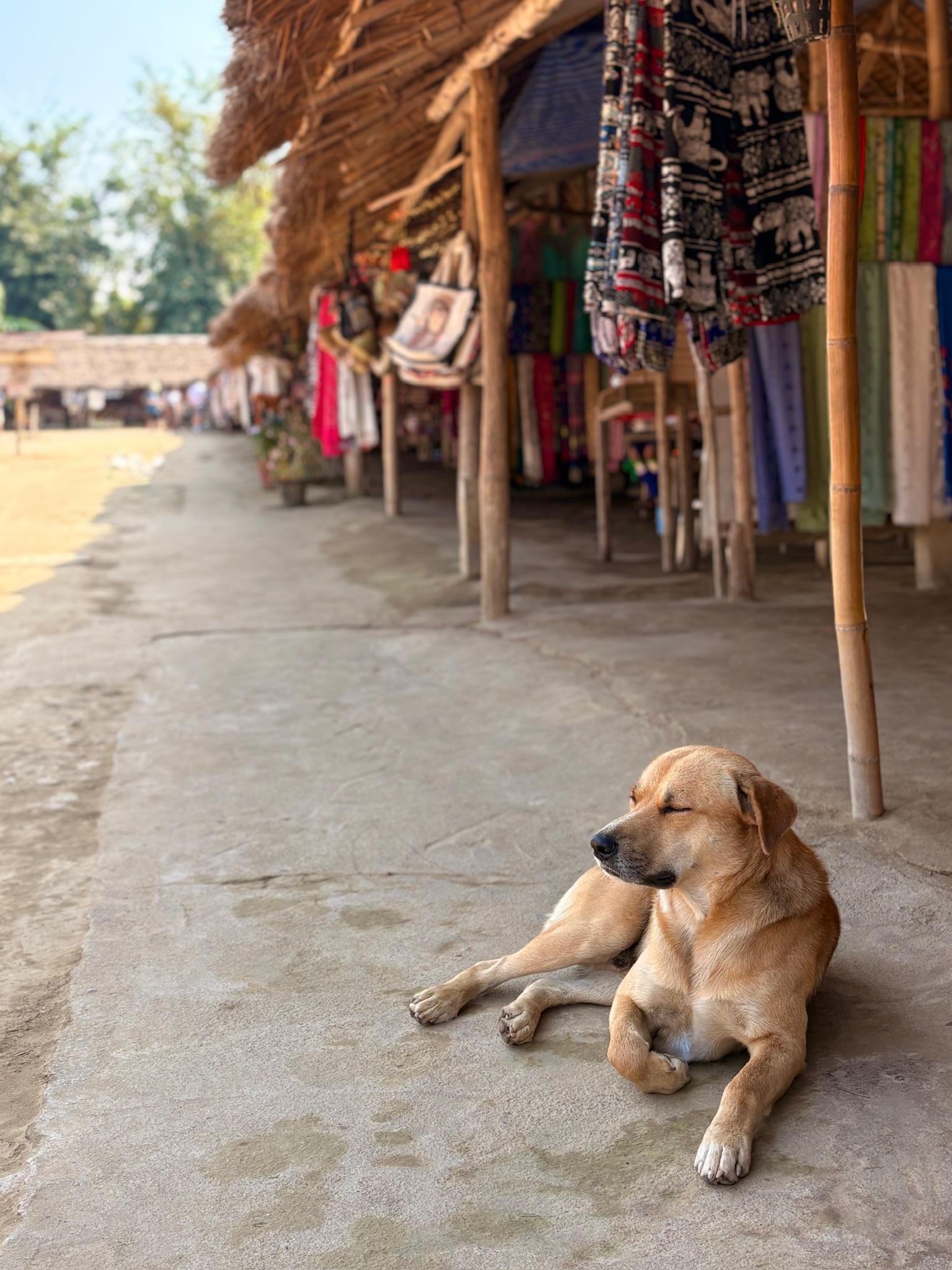 Chiang Rai Full-Day Highlights: Temples, Culture & Golden Triangle