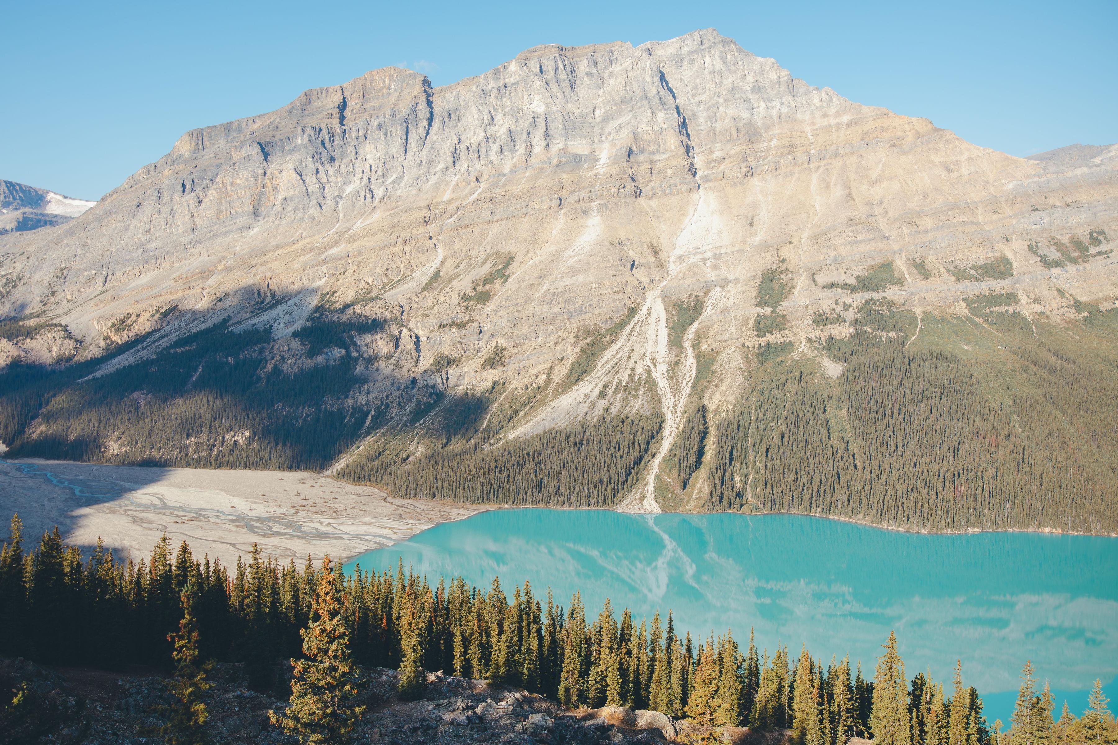 From Canmore/Banff: Icefields Parkway Experience - 2026 (Verified Reviews)
