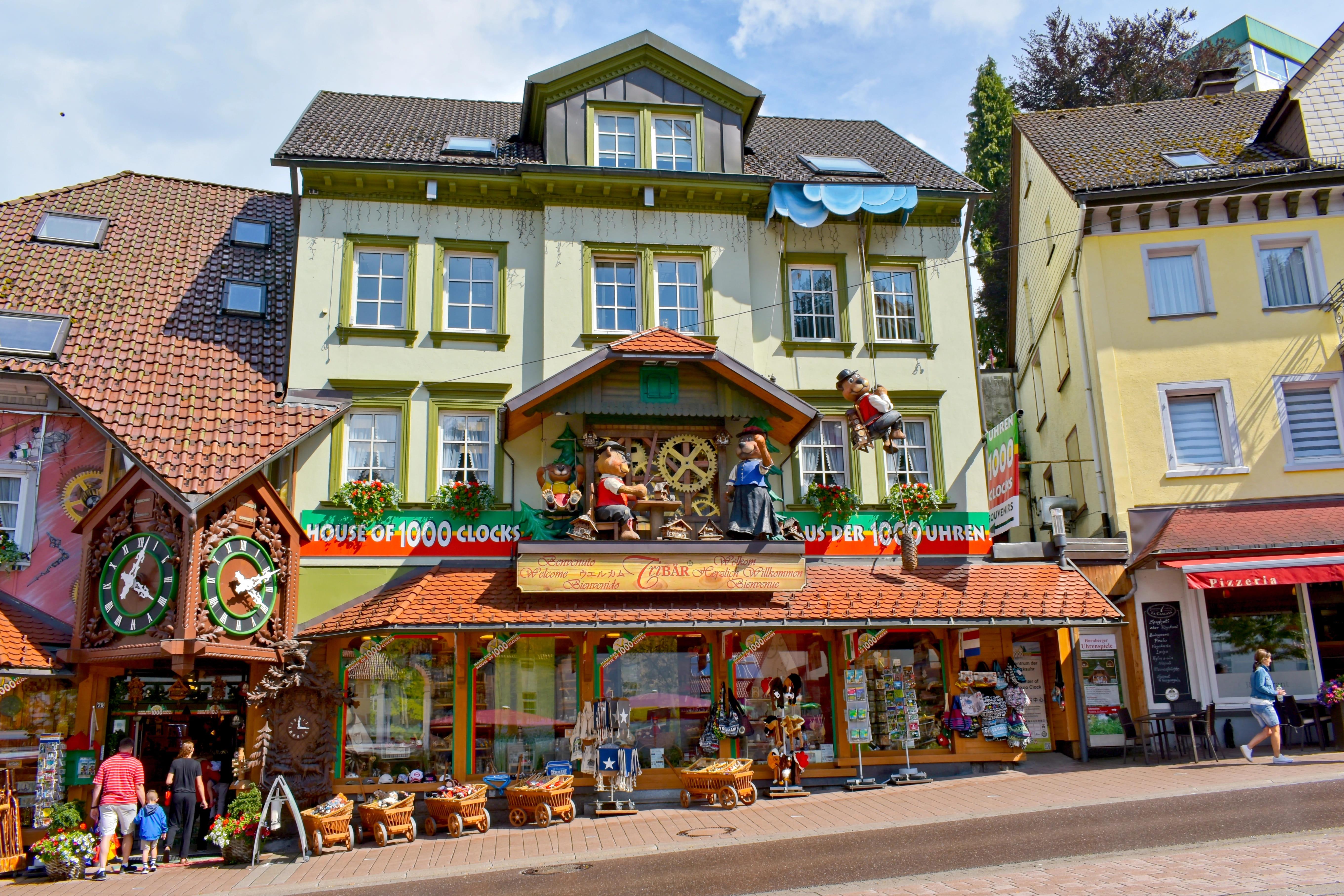 Rhine Falls & Black Forest Private Day Tour from Zurich