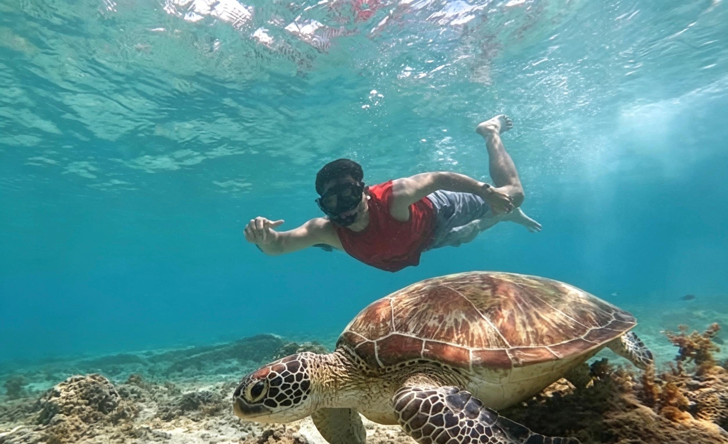 Cebu Full-Day Moalboal Sardine Run & Kawasan Canyoneering