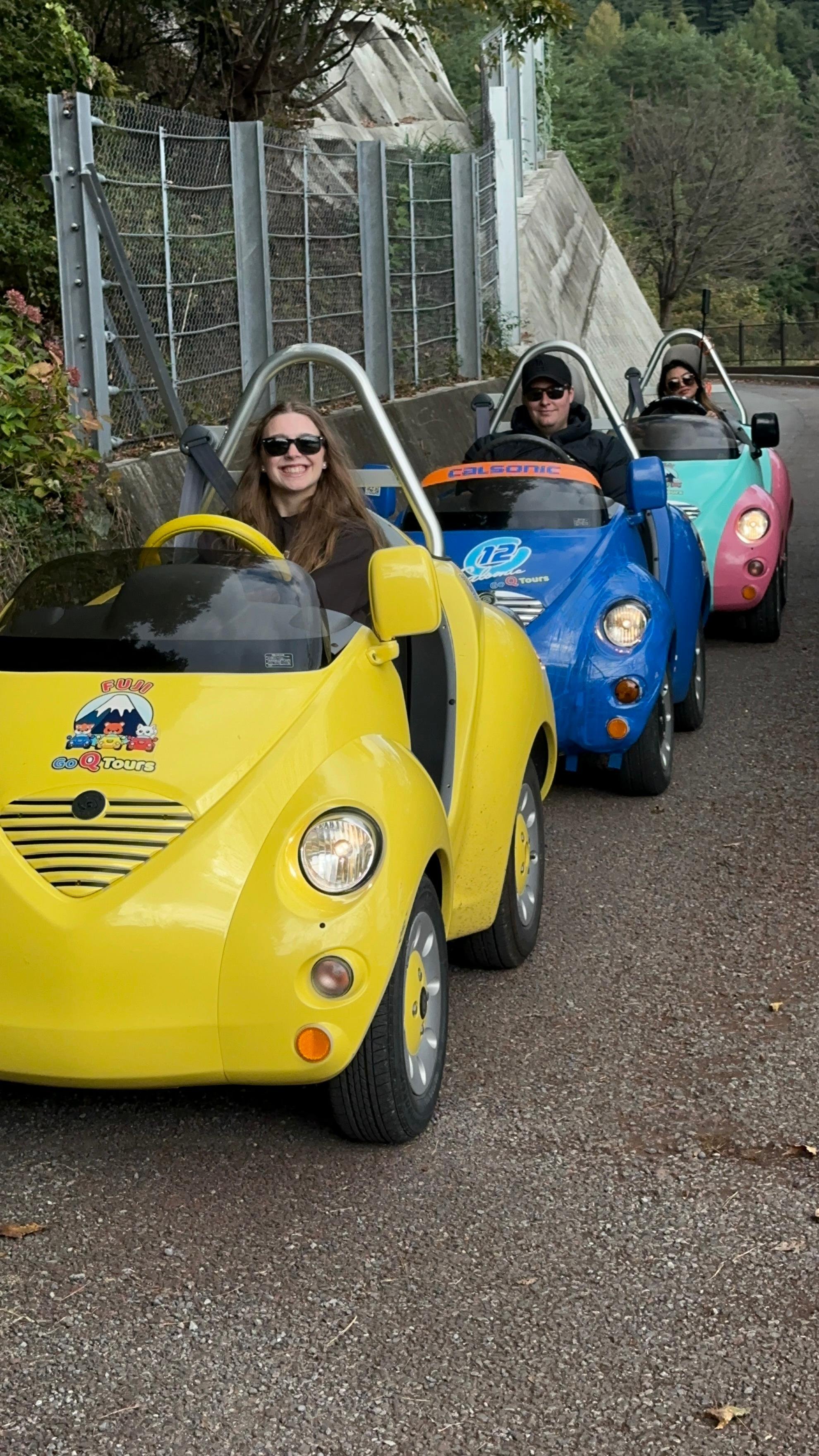 Lake Kawaguchiko Electric Mini Car Guided Tour