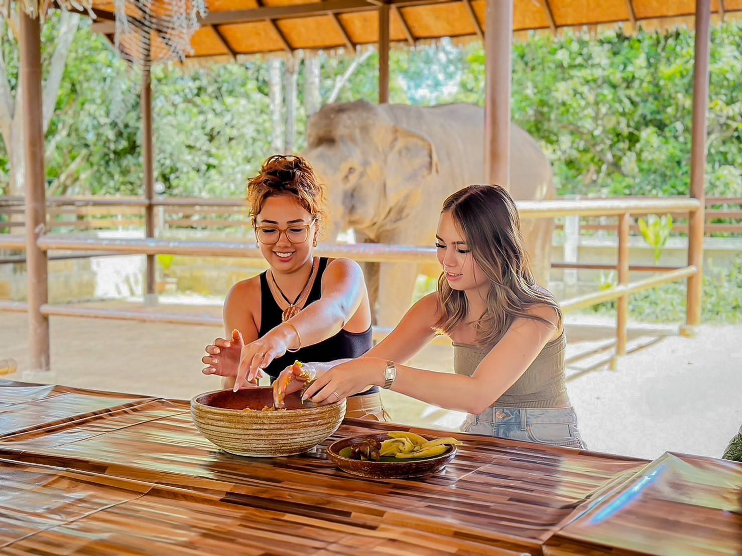 Samui: Ethical Elephant Care & Nutrition Workshop