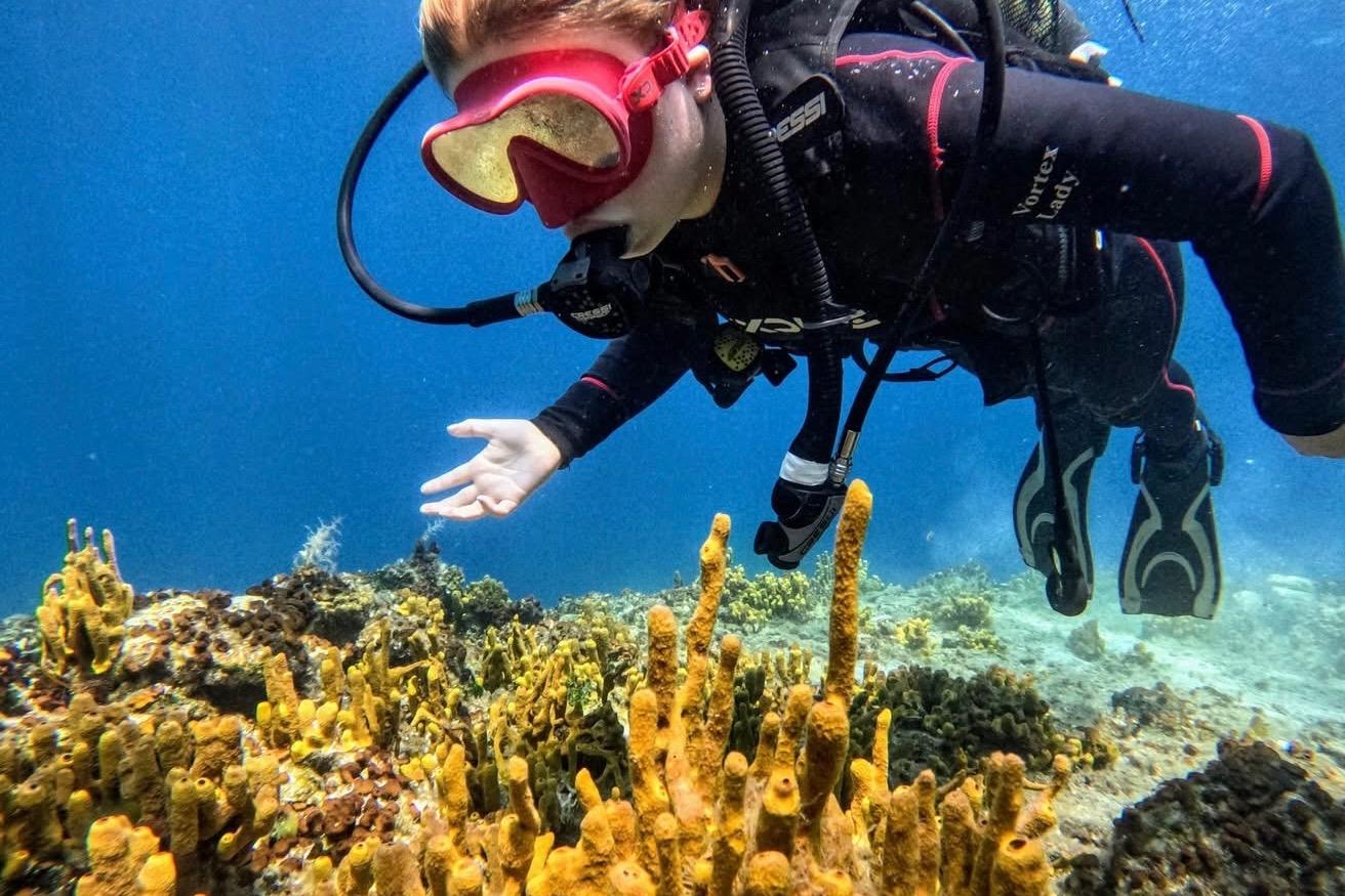 Halkidiki Introductory Scuba Dive in Ouranoupoli