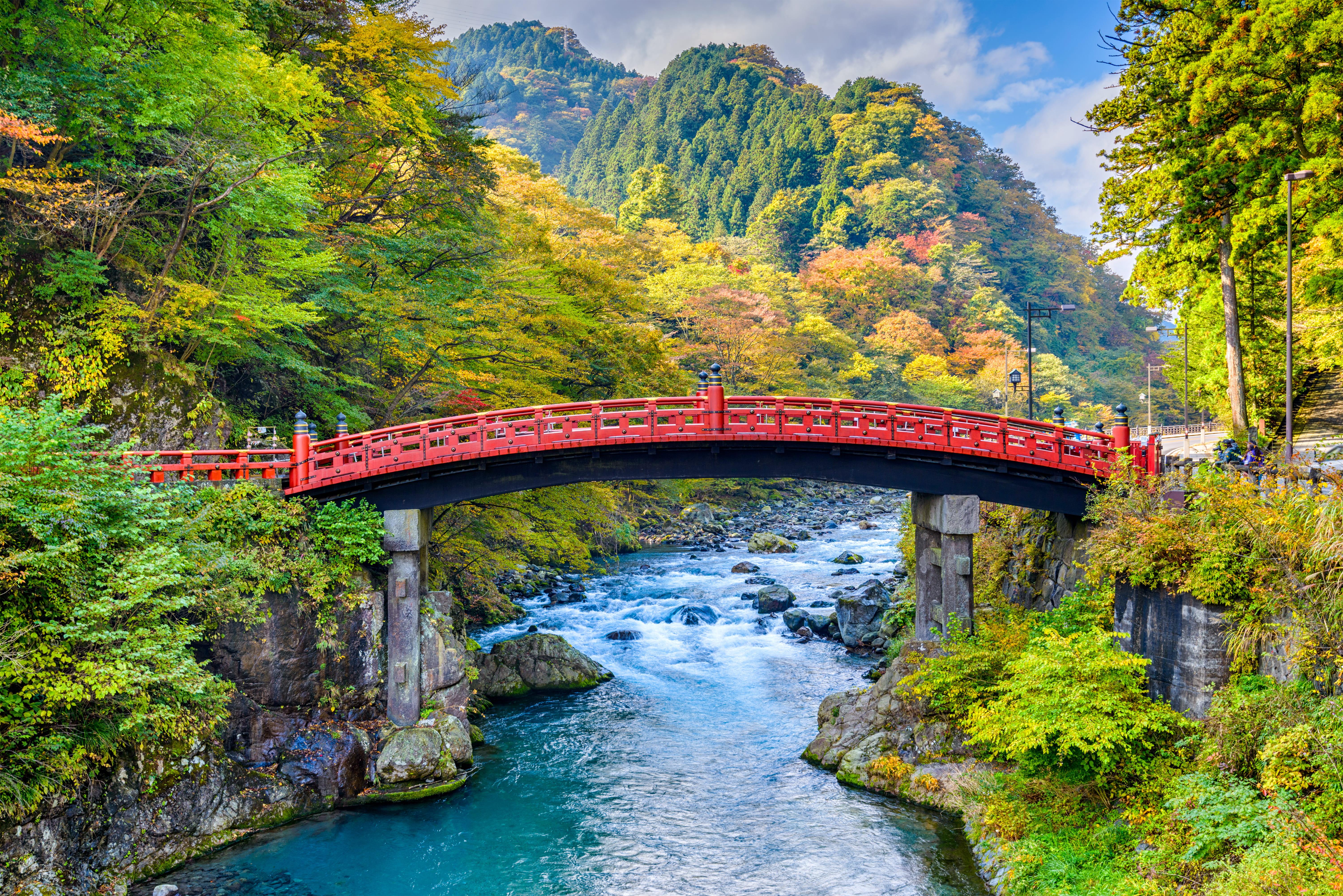 Tokyo to Nikko: Toshogu Shrine & Kegon Falls Day Tour