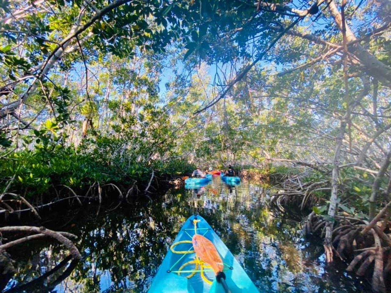 Mangrove Kayak Adventure in Key West