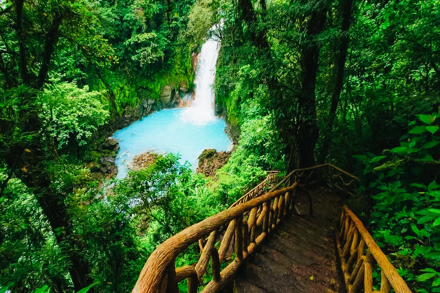 Río Celeste Rainforest Hike & Waterfall Tour