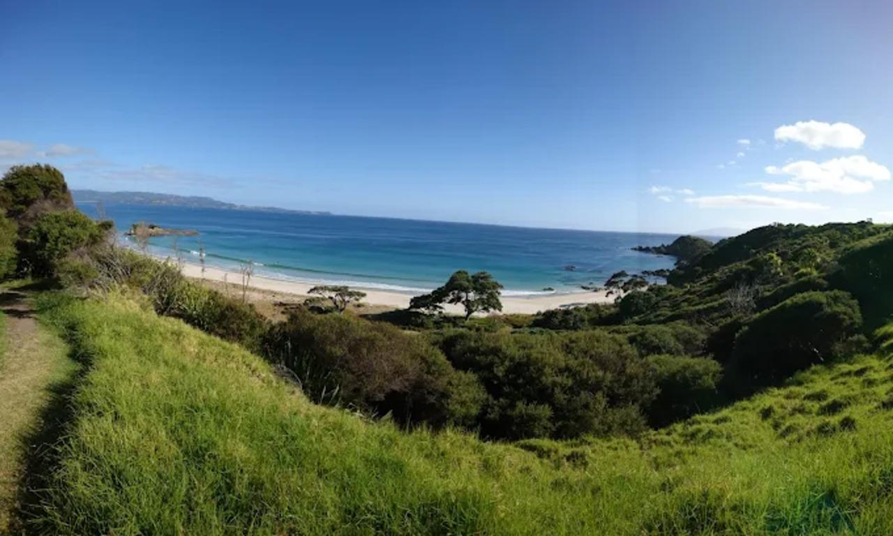 From Auckland: Kiwi Wilderness Experience Guided Tour