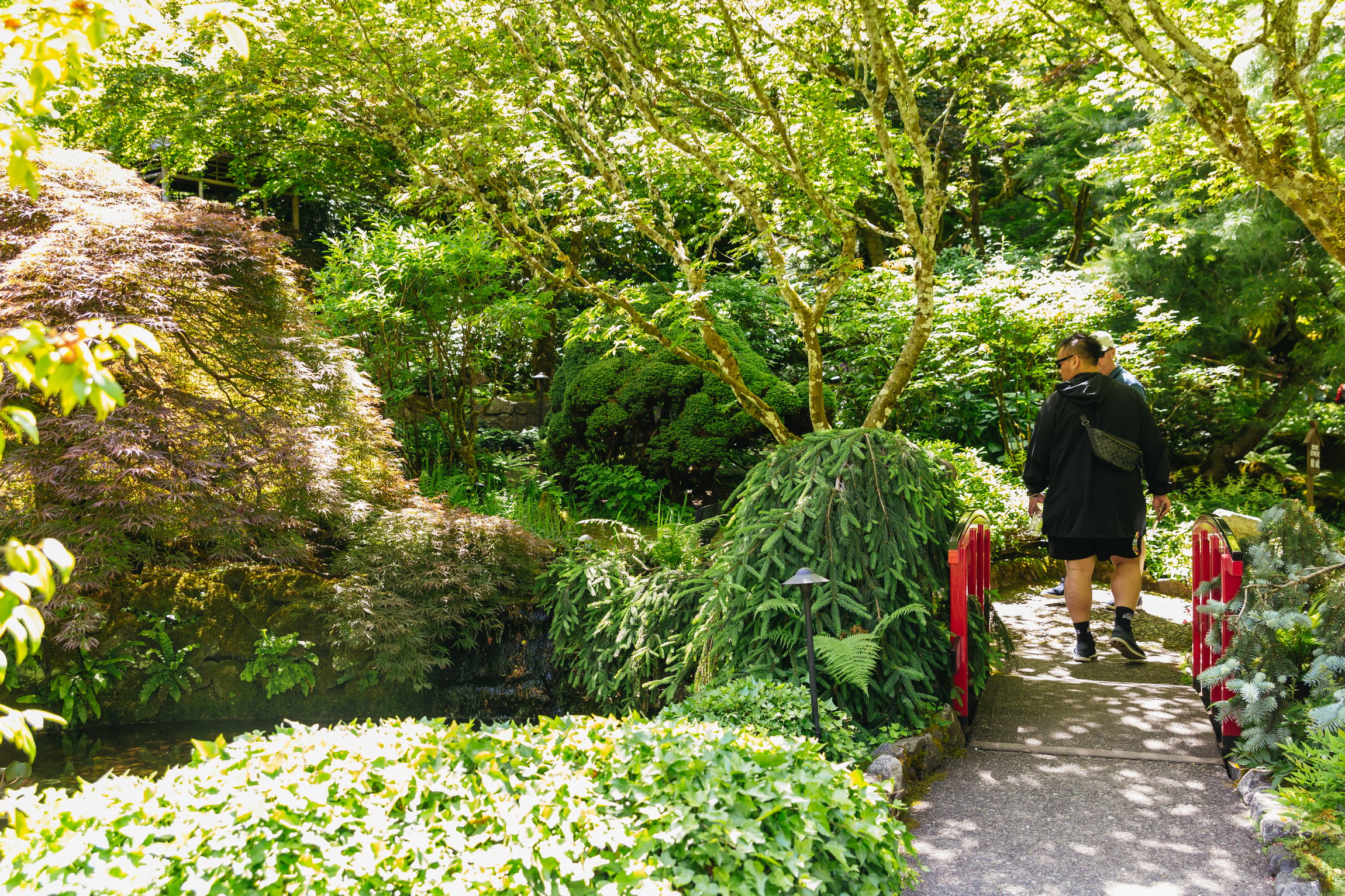 Butchart Gardens — the Sunken Garden, Rose Garden and Japanese Garden — image 20