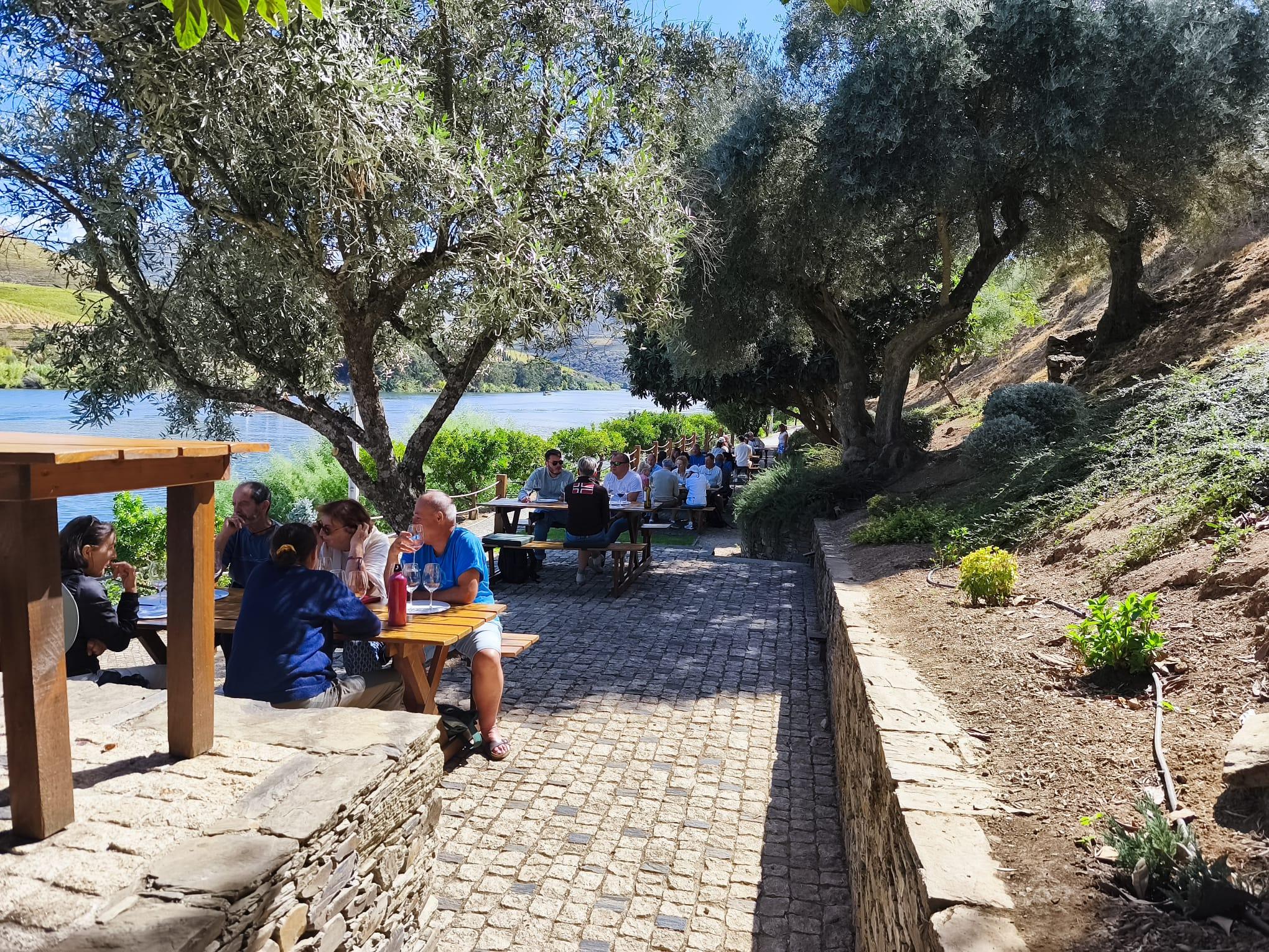 Douro Valley Full-Day Tour: Boat Ride, Twin Winery Tastings & Lunch