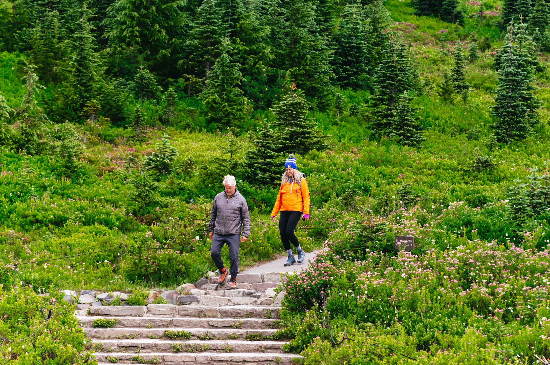 From Seattle: Mount Rainier National Park Guided Tour - 2026 (Verified Reviews)