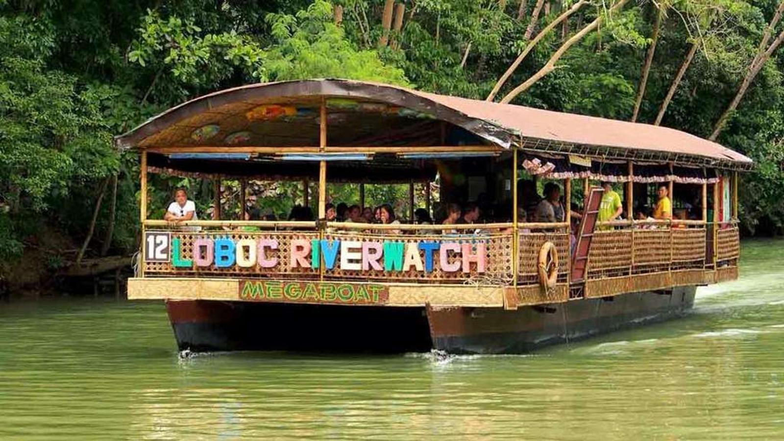 Bohol Countryside Private Day Tour from Cebu with Loboc River Lunch