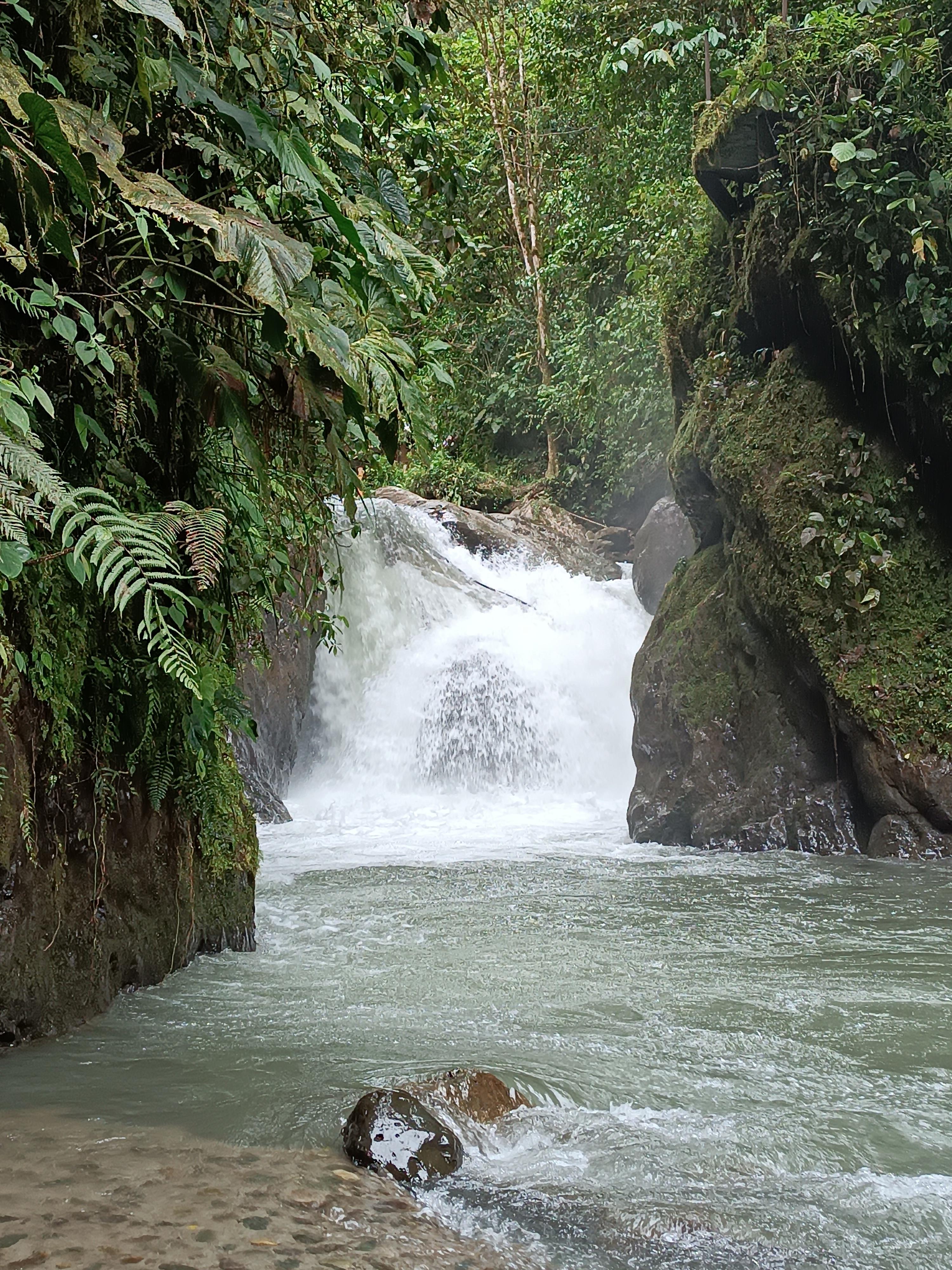 Private Mindo Cloud Forest & Chocolate Adventure