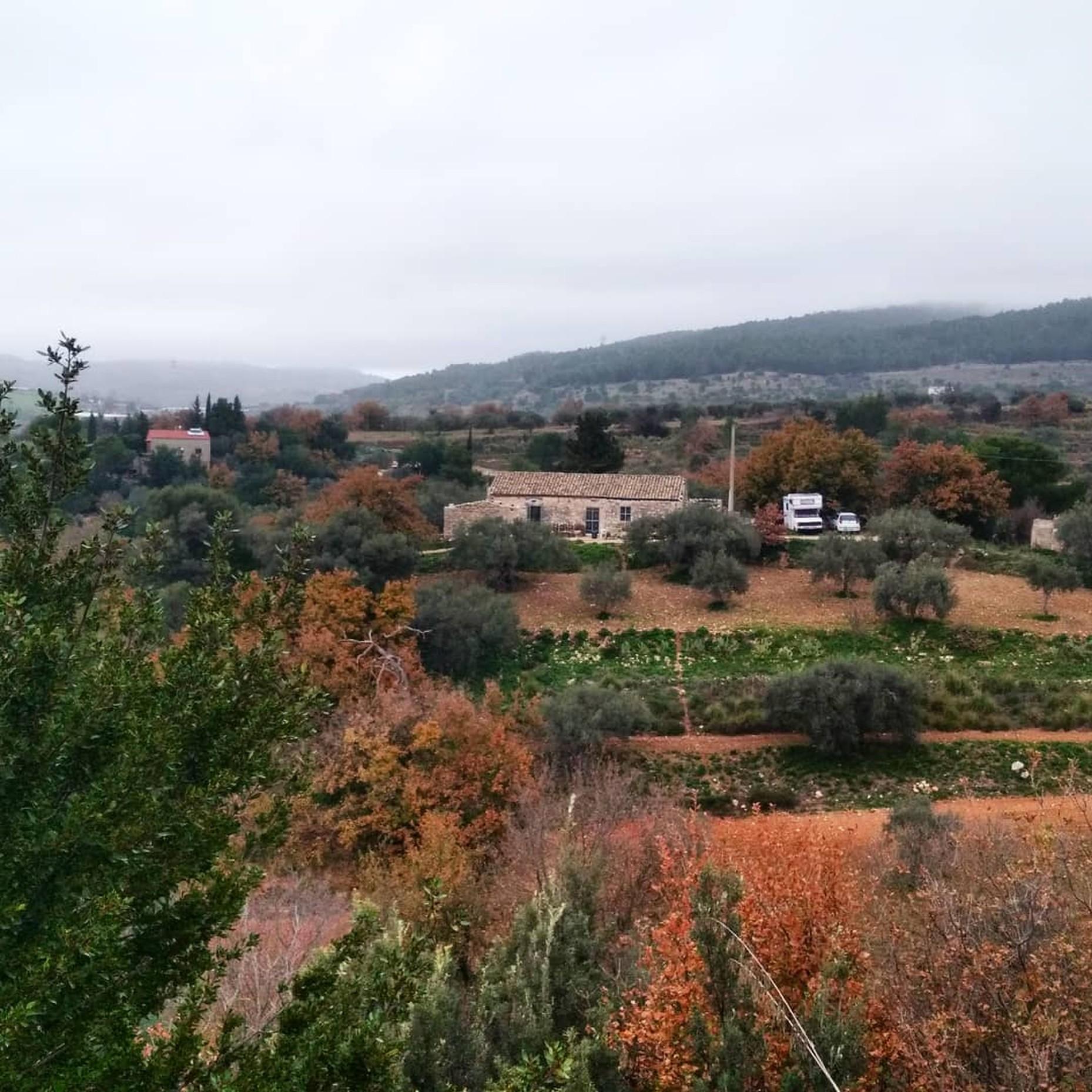 cooking class in Ragusa — photo 9