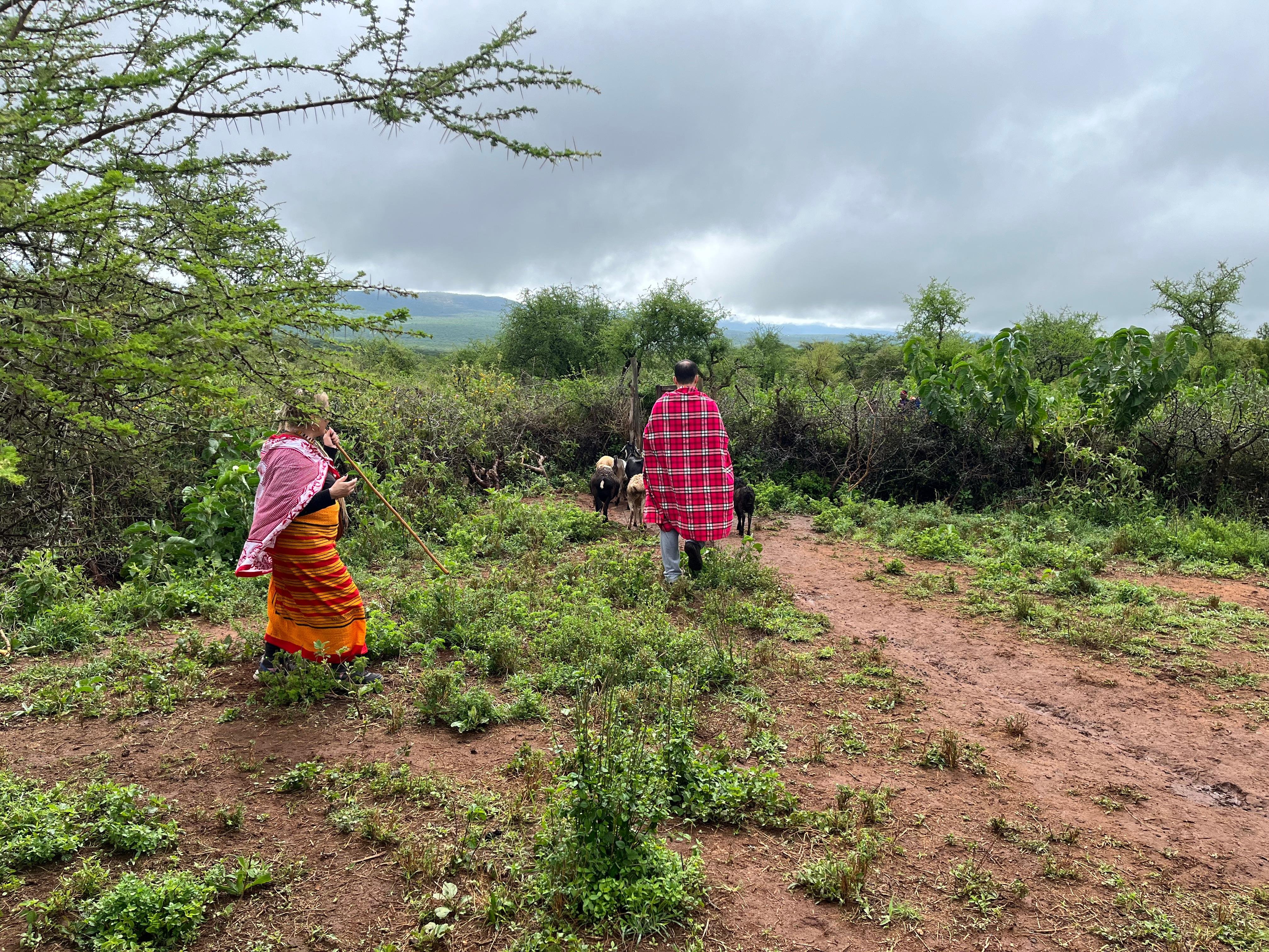 Authentic Maasai Village Day Tour from Nairobi