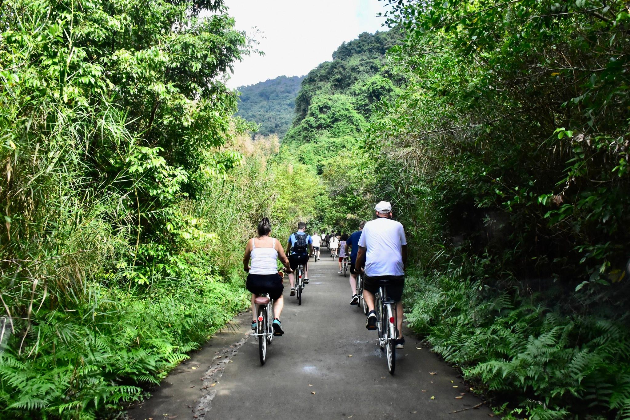 Cat Ba Island: Full-Day Lan Ha & Ha Long Bay Cruise
