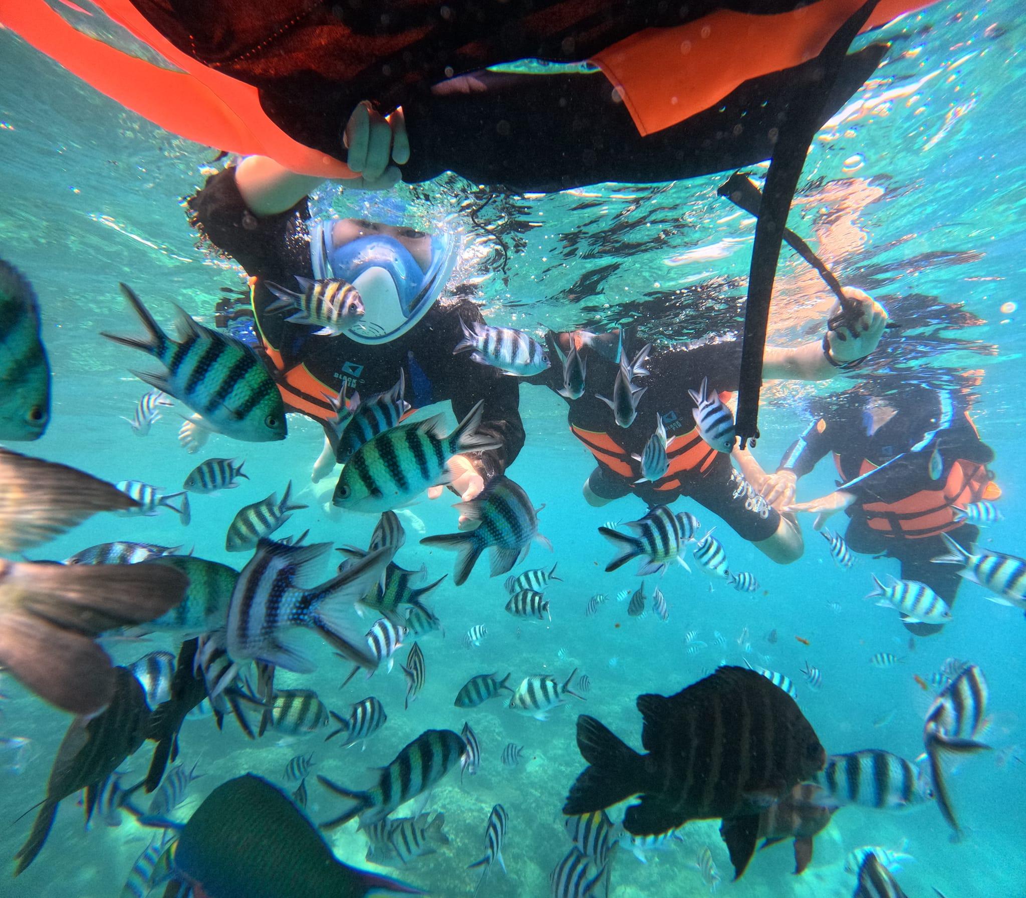 Koh Chang Island Adventure with Snorkeling & BBQ