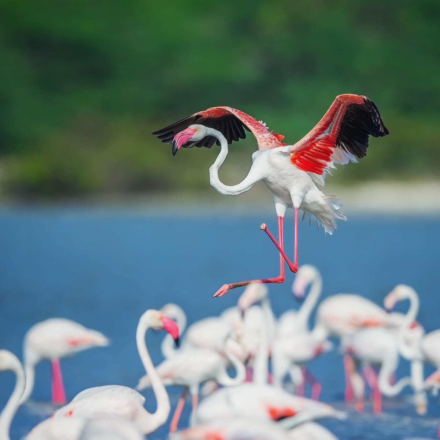 Private Full-Day Wilpattu National Park Jeep Safari