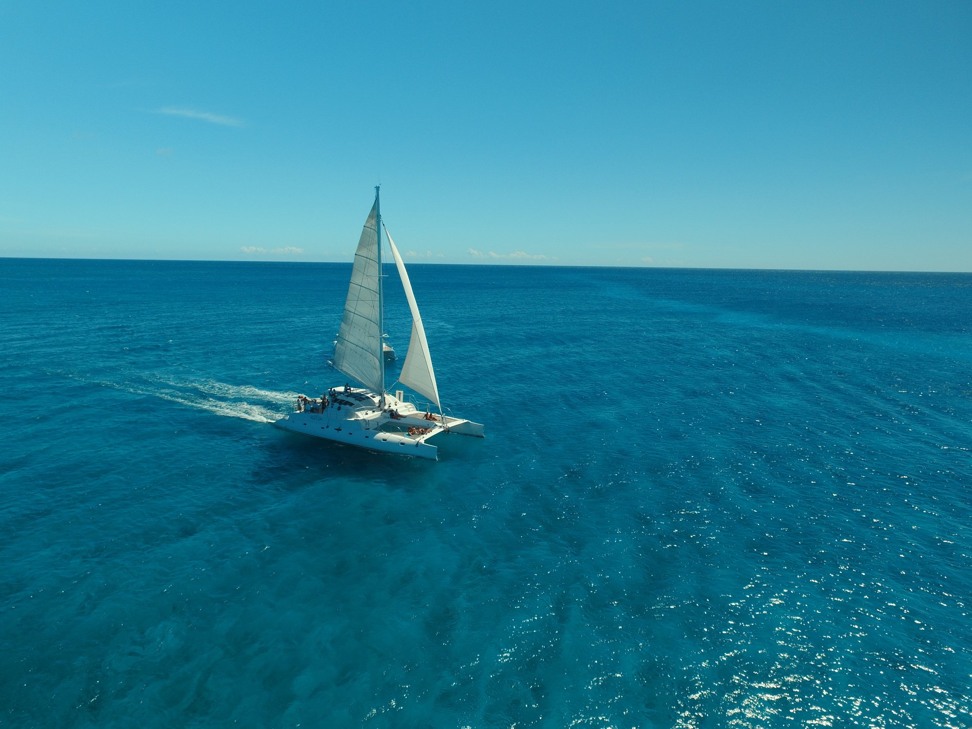 Catalina Island Catamaran Snorkel & River Cruise