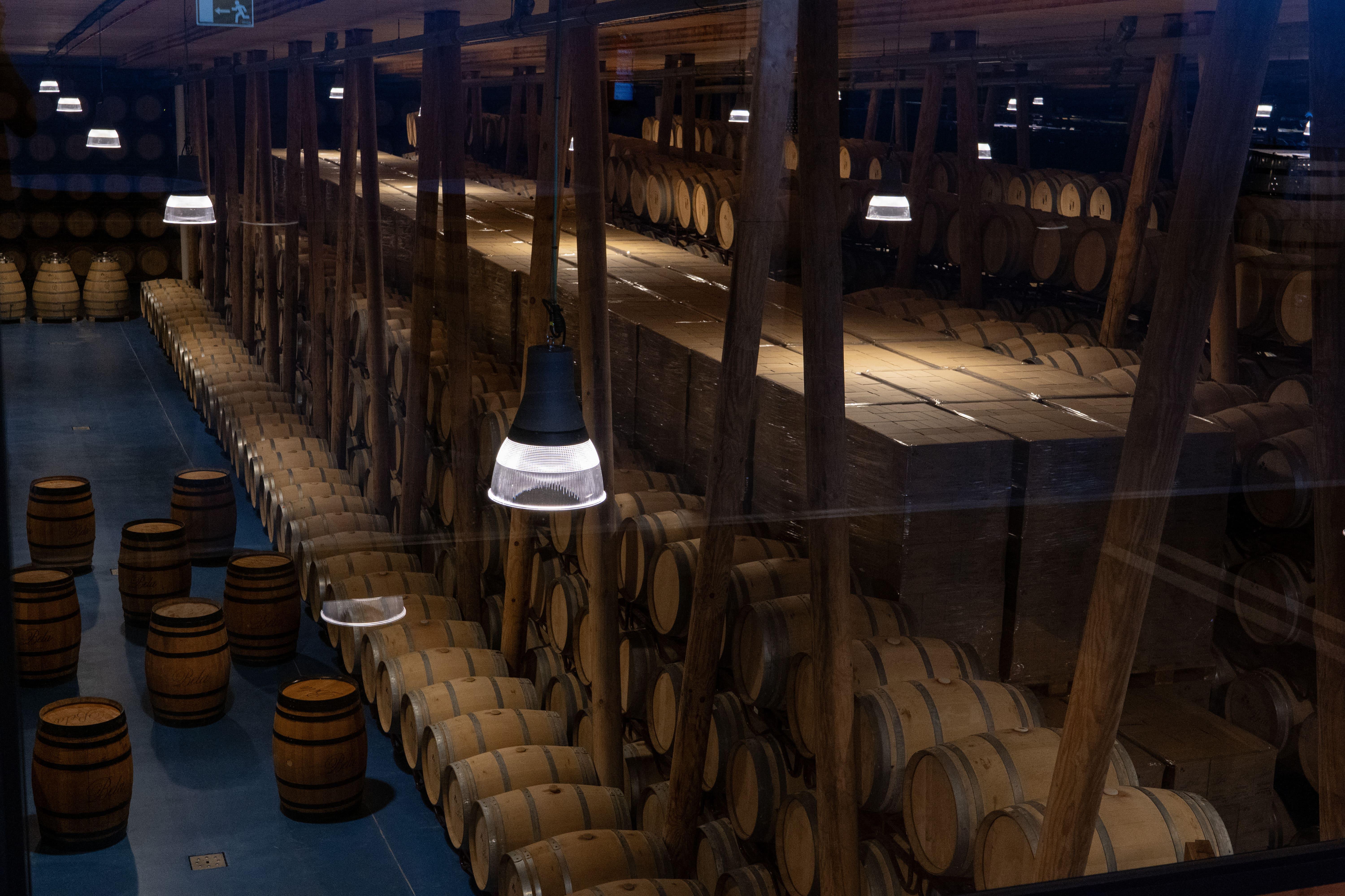 wine tour in Ribera del Duero — photo 26