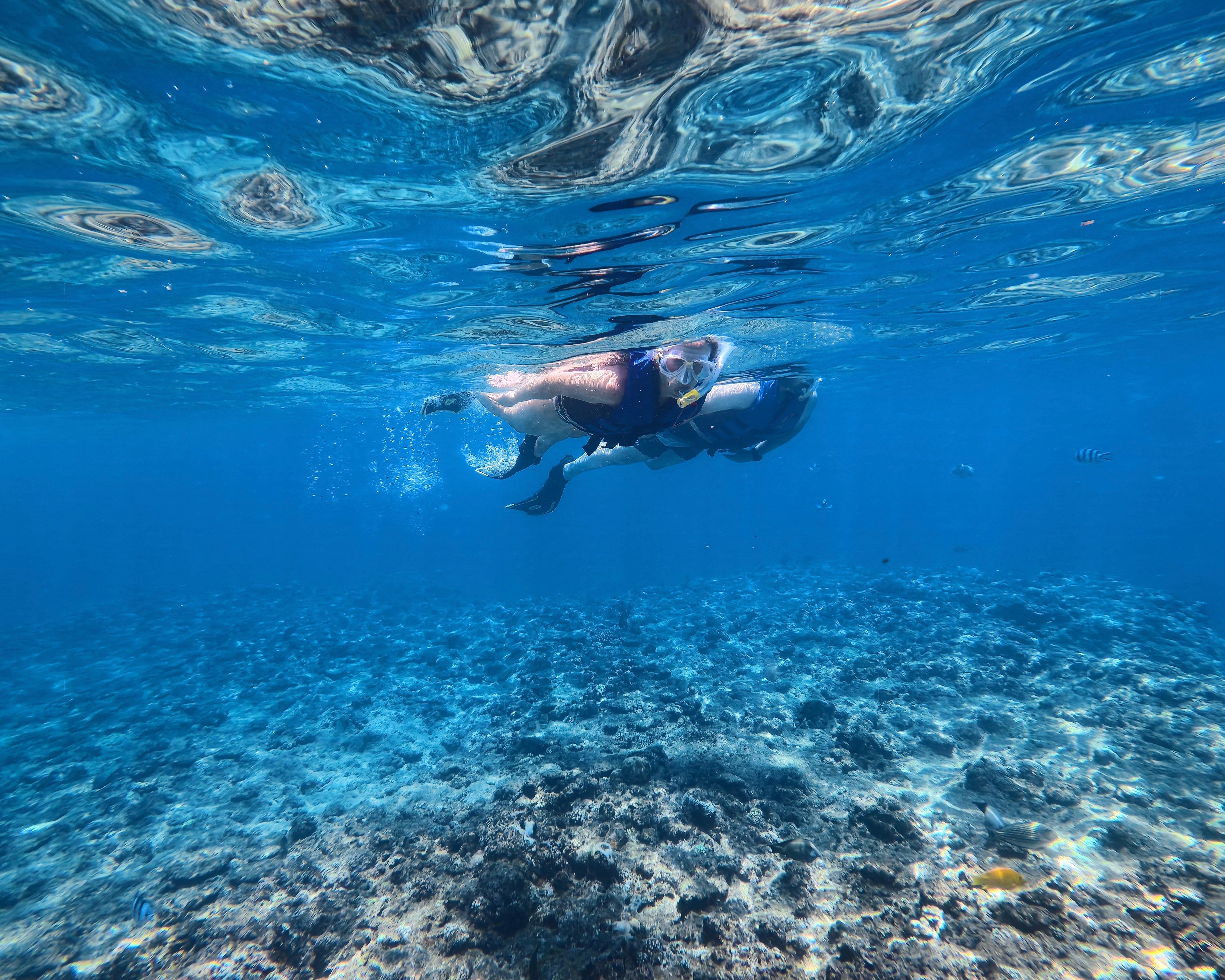 Blue Cave Okinawa snorkelling at Cape Maeda, Onna Village — image 5