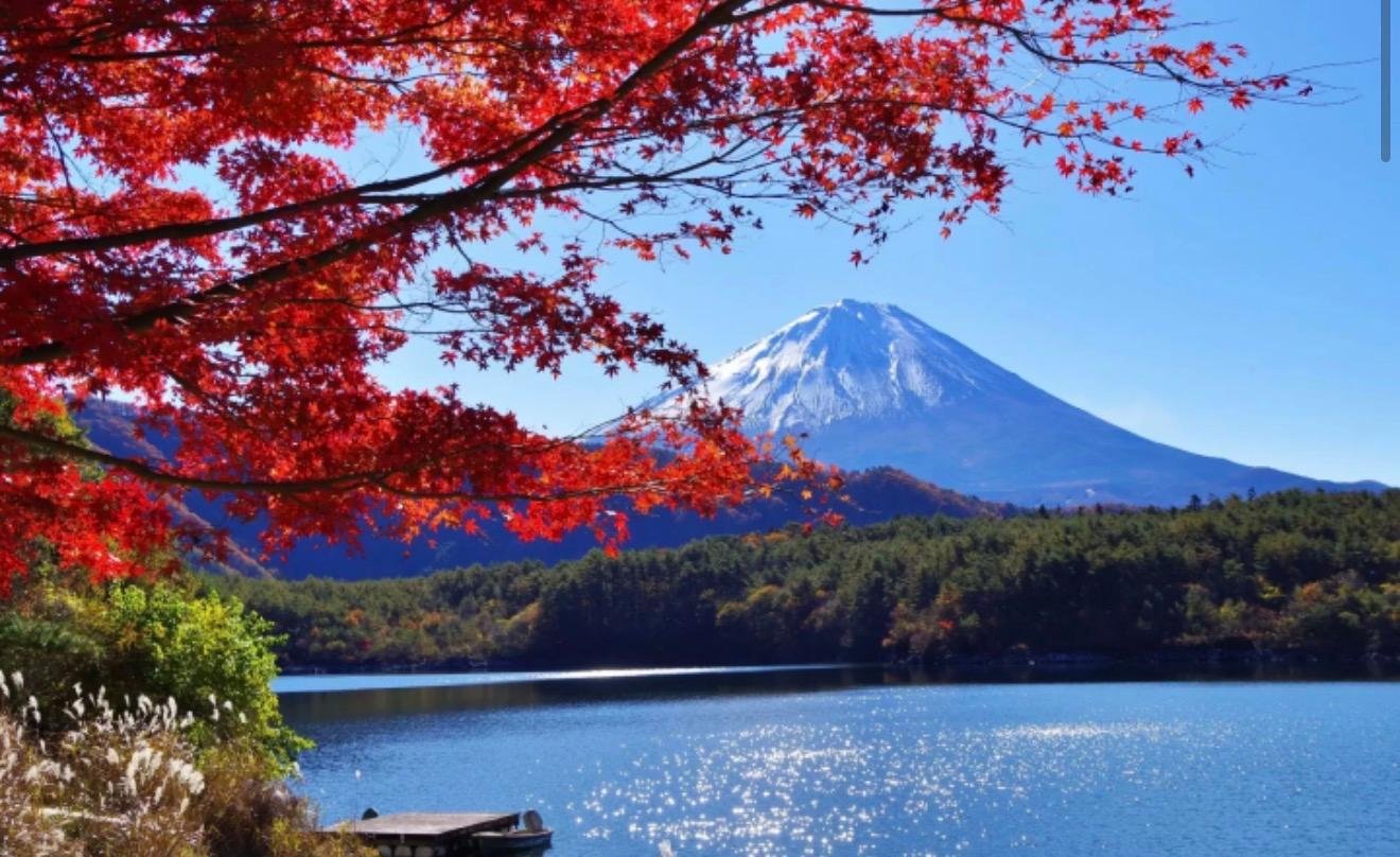Customizable Mount Fuji Private Day Trip from Tokyo