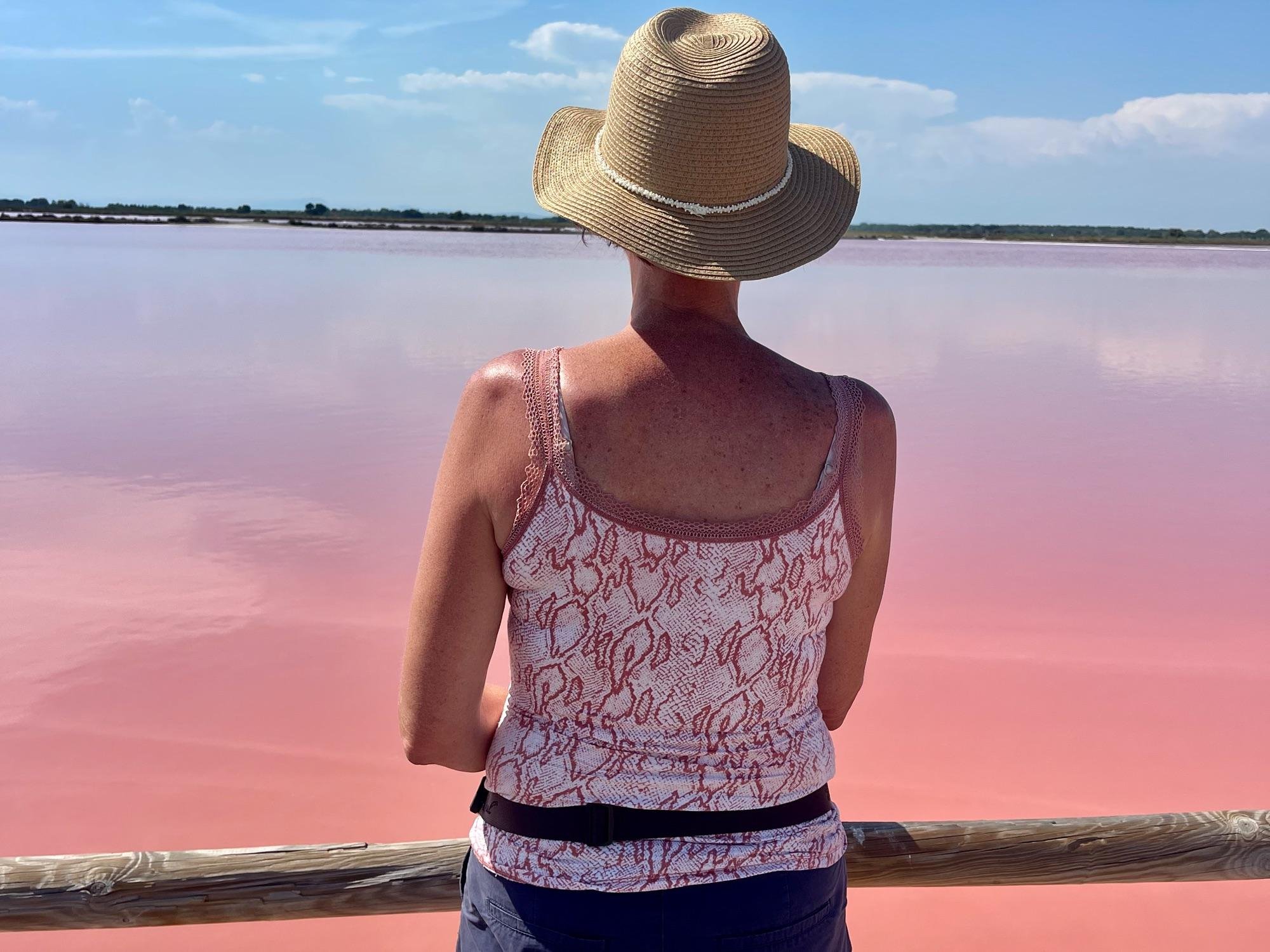 Camargue Wildlife and Salt Flats Day Trip from Montpellier