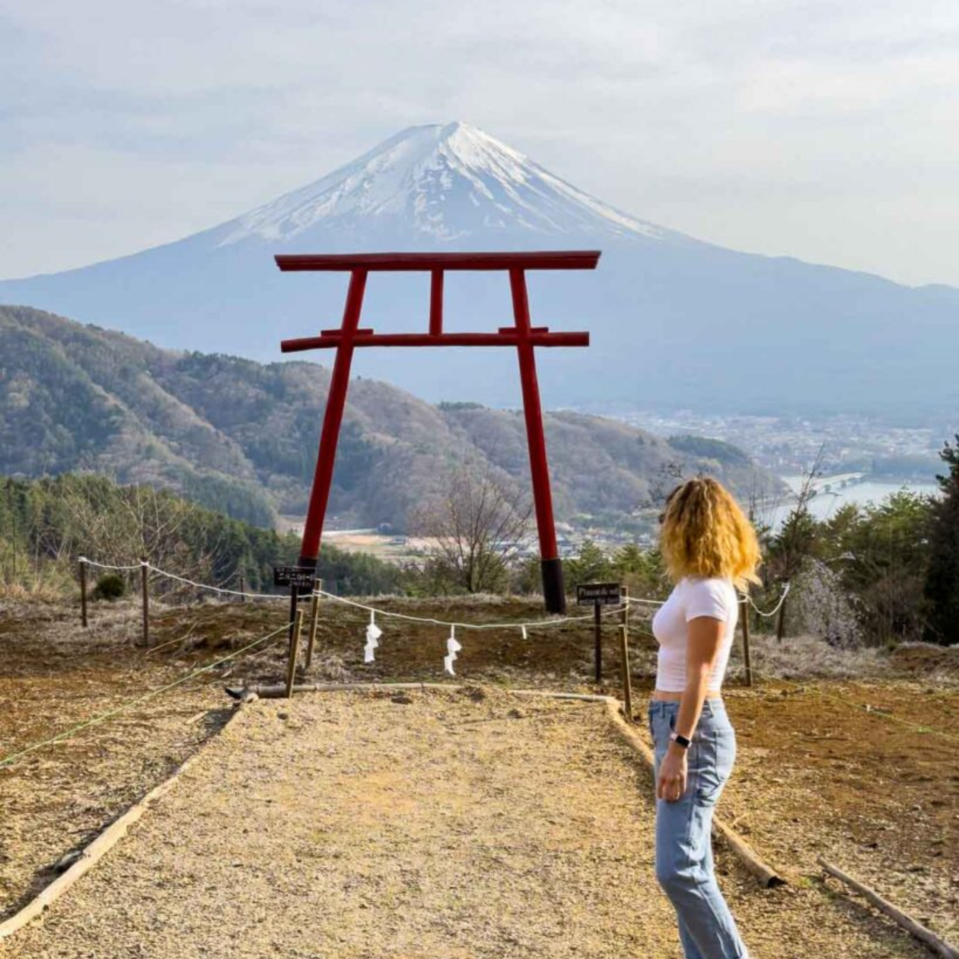 Private Mount Fuji & Hakone Day Tour from Tokyo