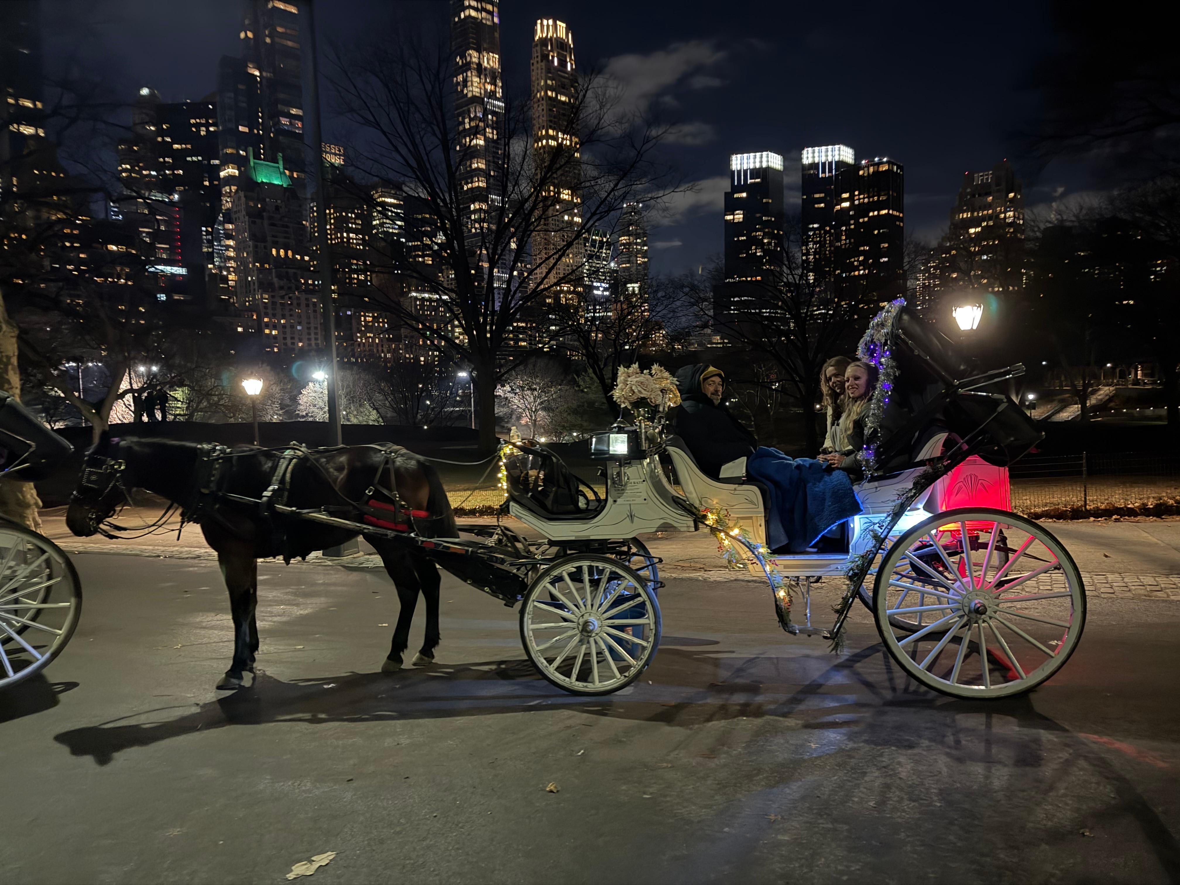 Private Central Park Horse Carriage Tour with Guide