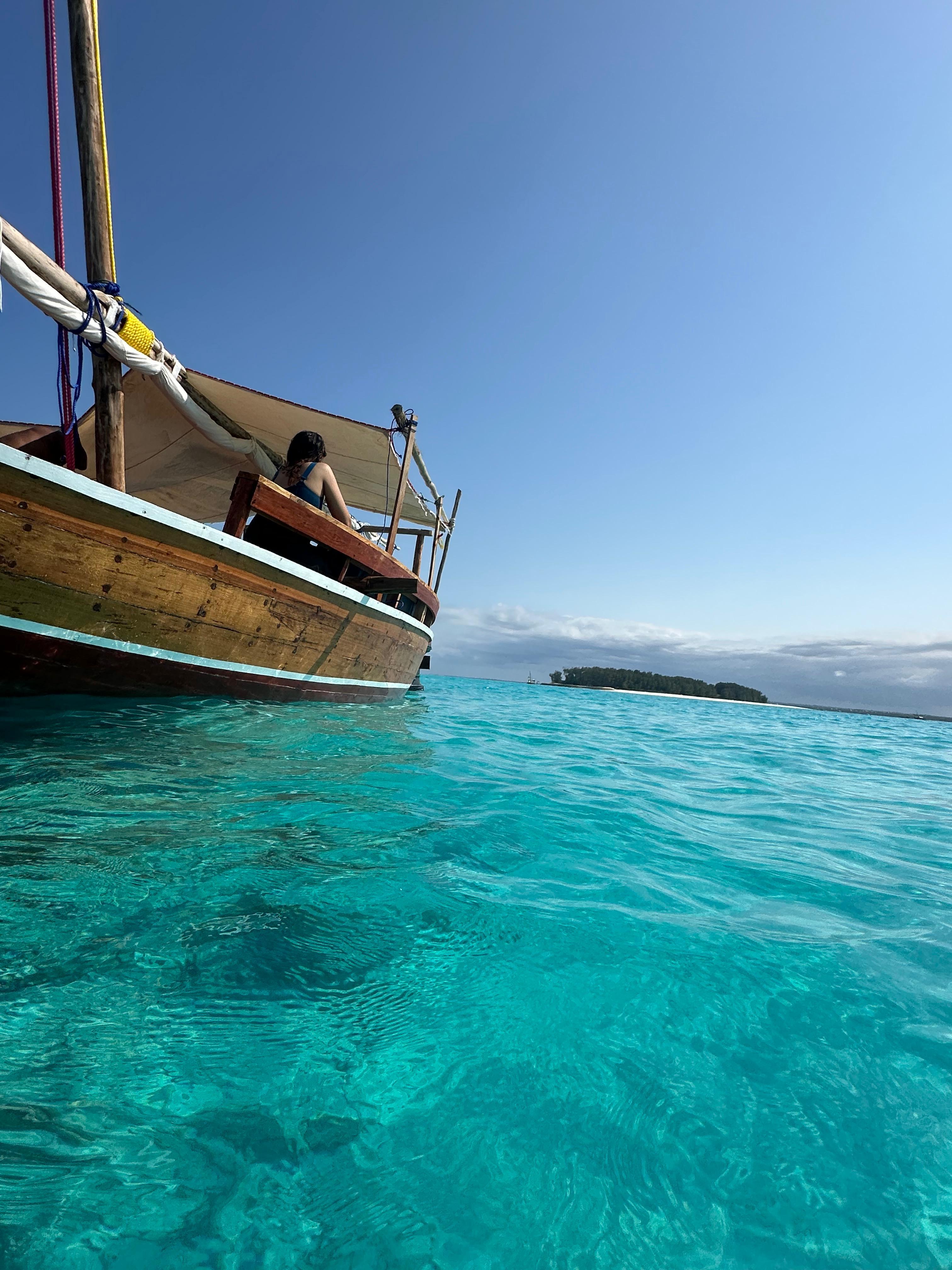 Mnemba Island Dolphin & Snorkel Boat Trip from Matemwe