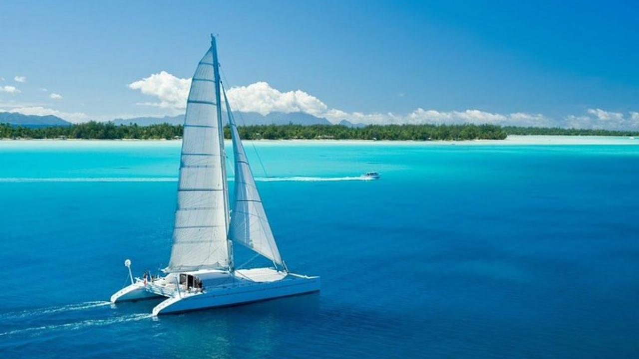 Mauritius: Full-Day All-Inclusive Catamaran Trip to Île aux Cerfs