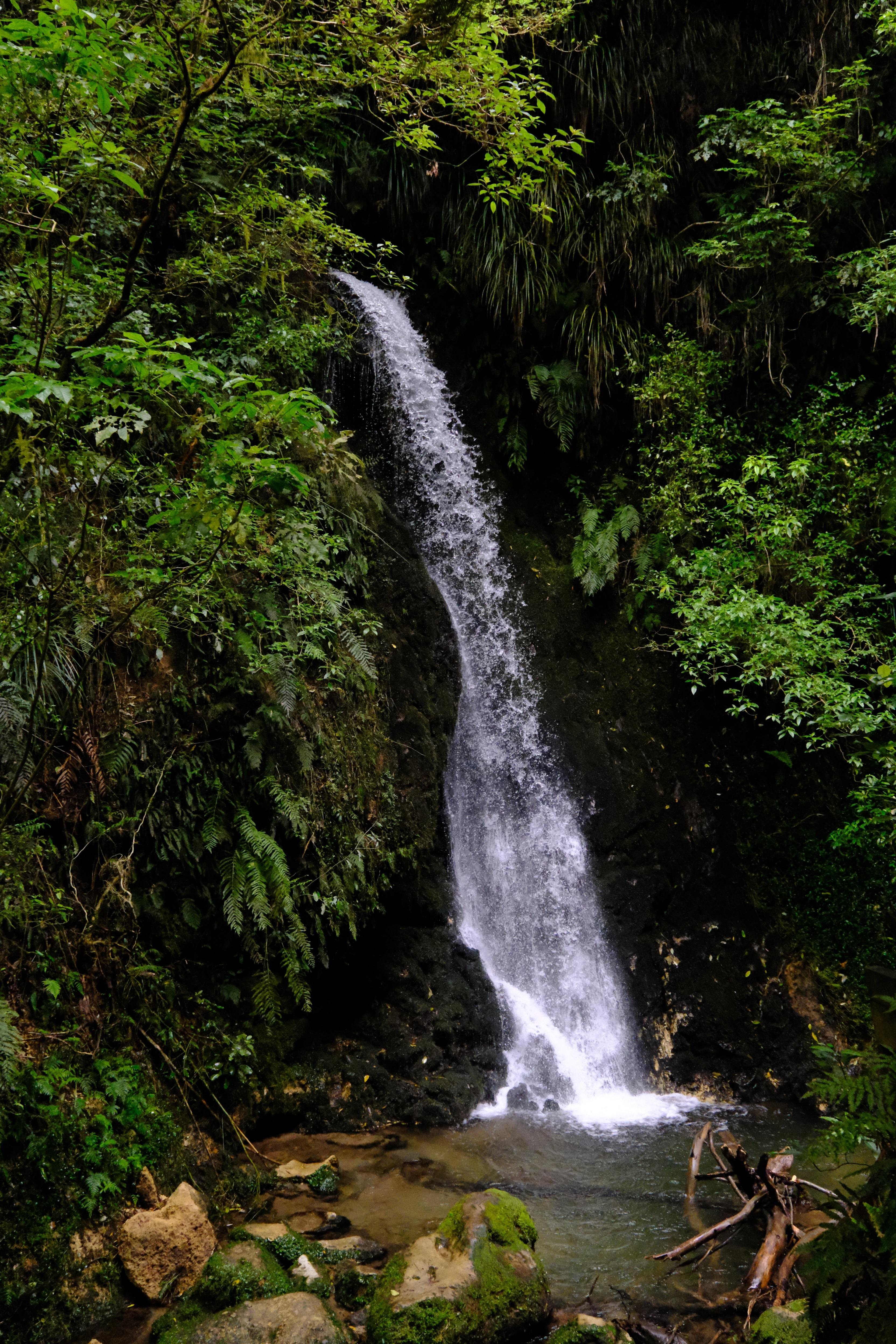 Tauranga Shore Tour: Kiwifruit Farm & Scenic Highlights