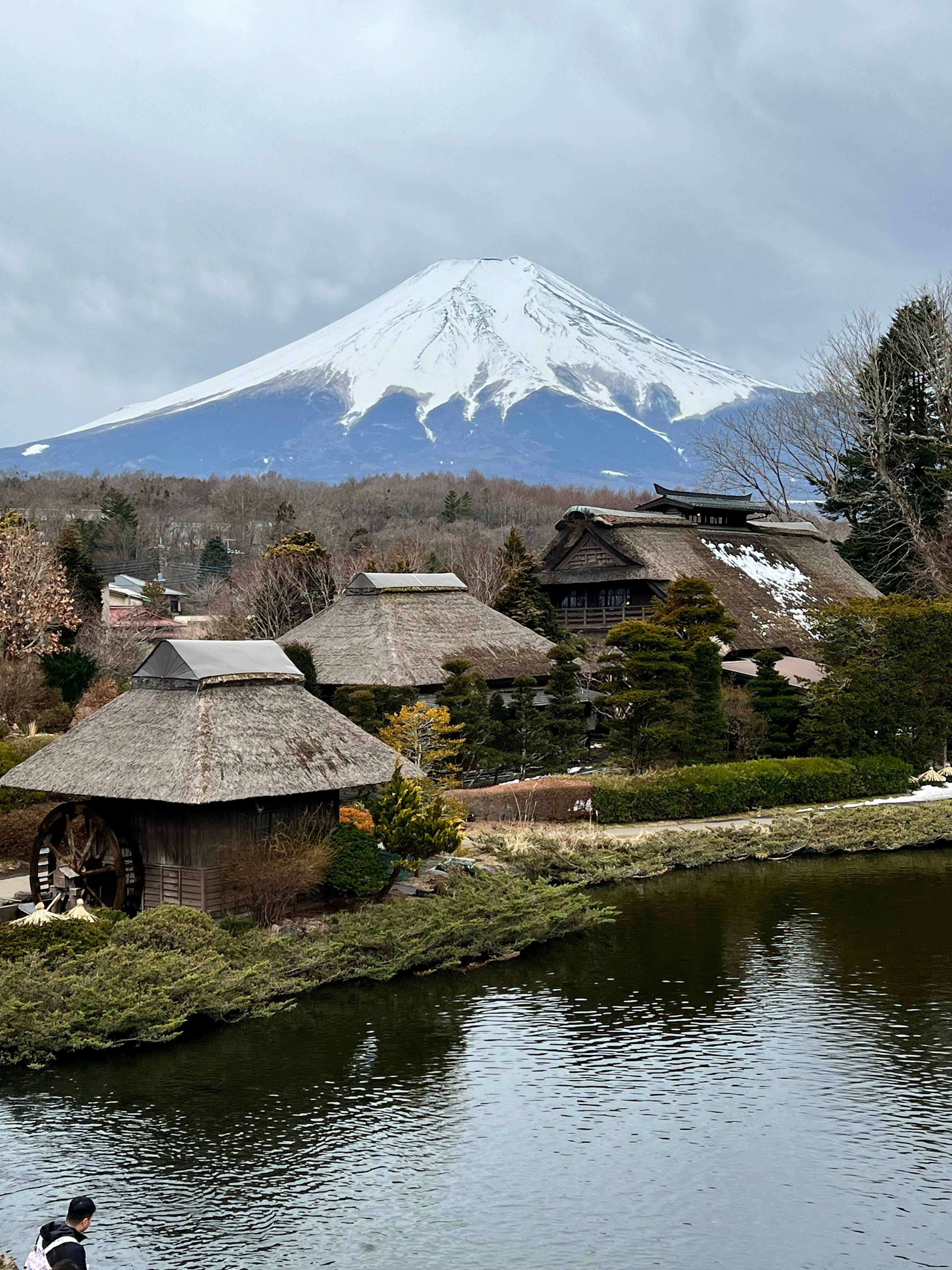 Mount Fuji & Hakone Private Full-Day Tour from Tokyo