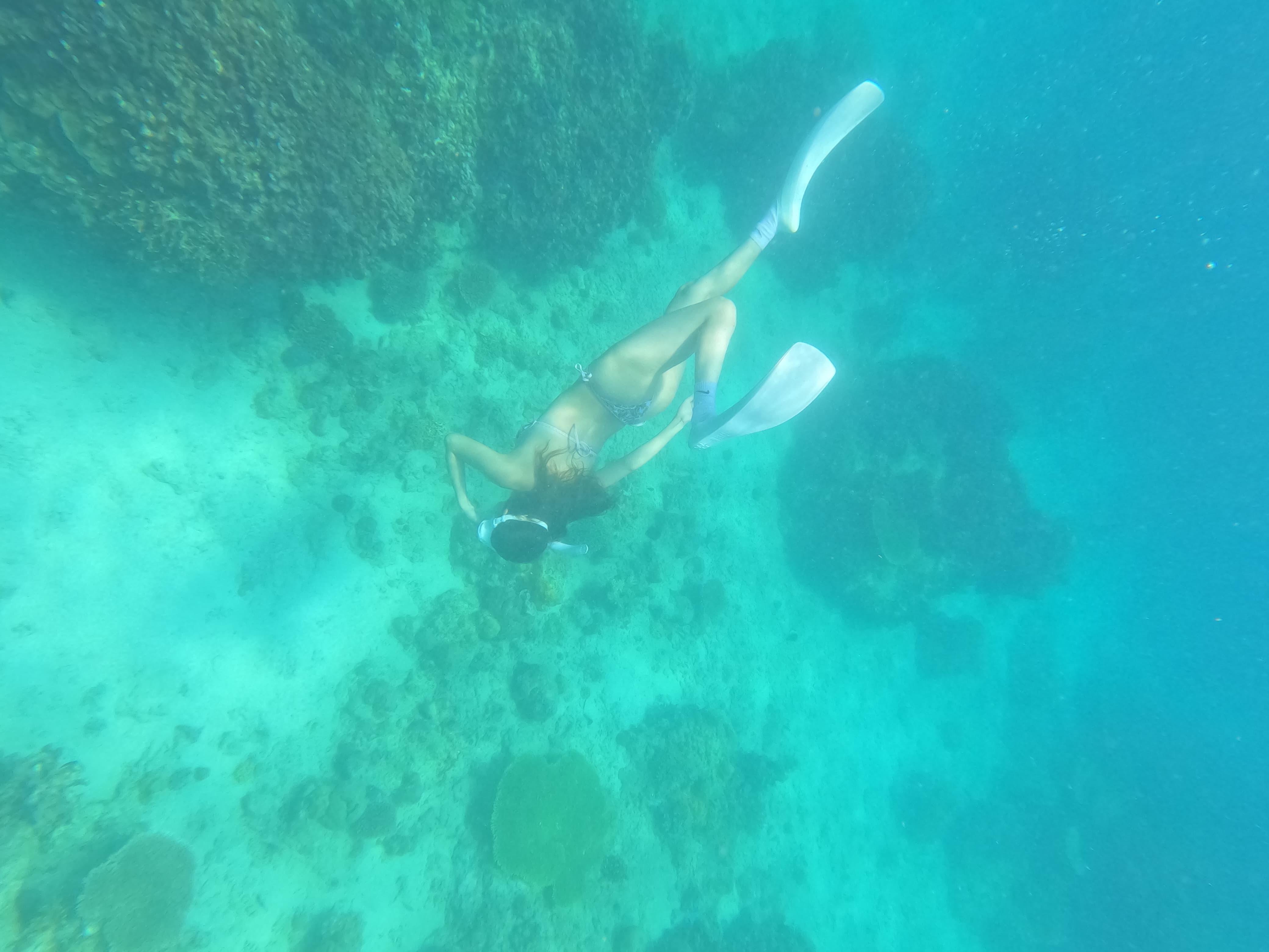 Coron Dugong Snorkeling & Coral Garden Day Tour