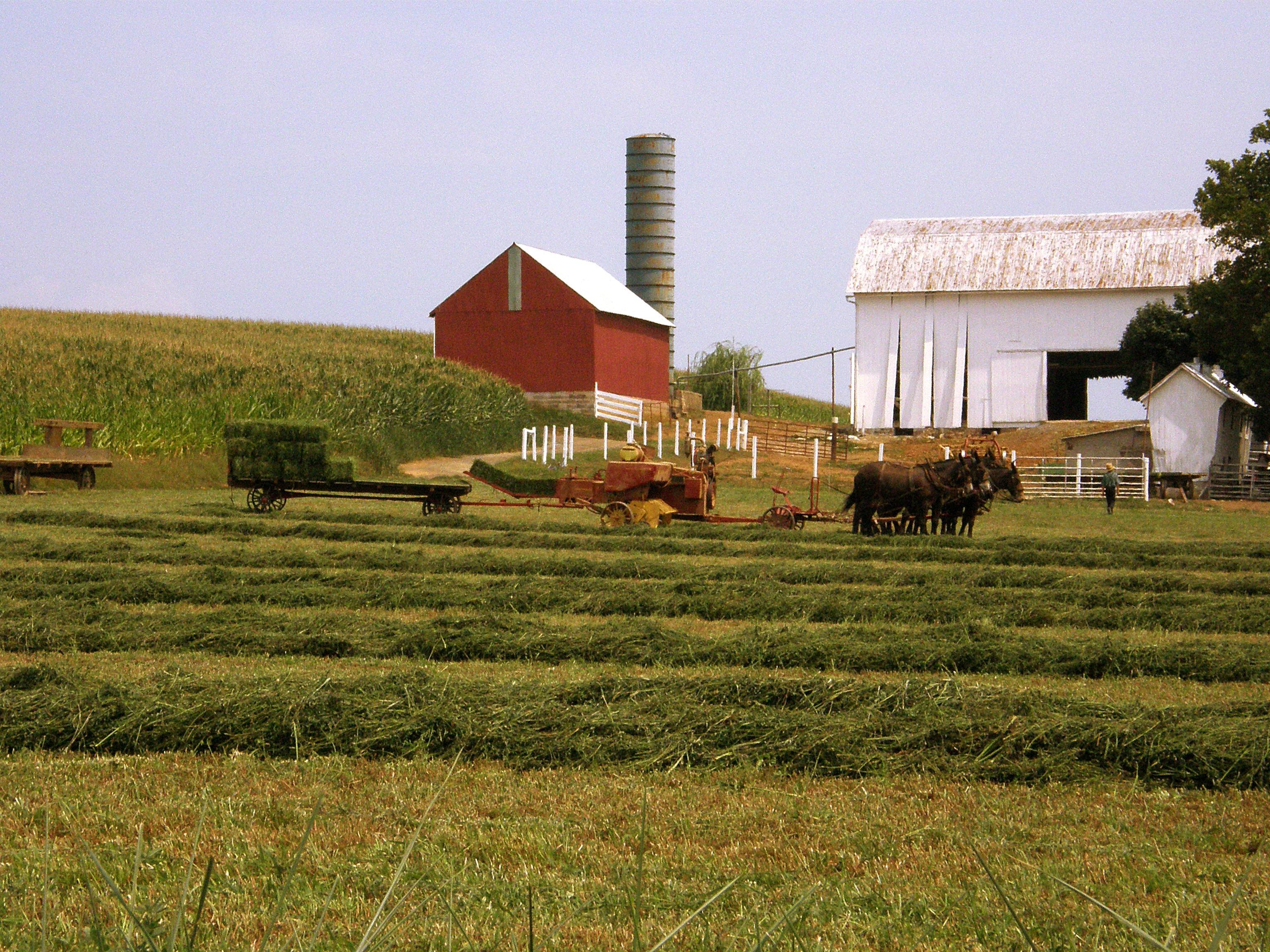 Amish Farmlands Guided Bus Tour