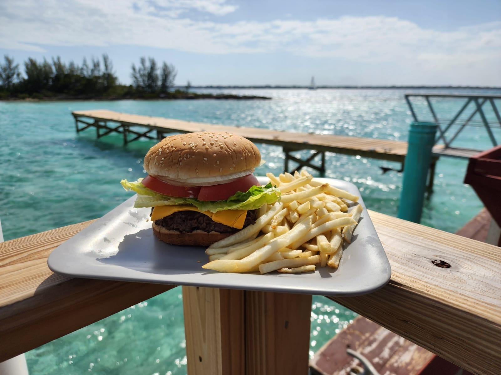 Nassau 3-Island Speedboat Adventure: Pigs, Turtles & Snorkeling