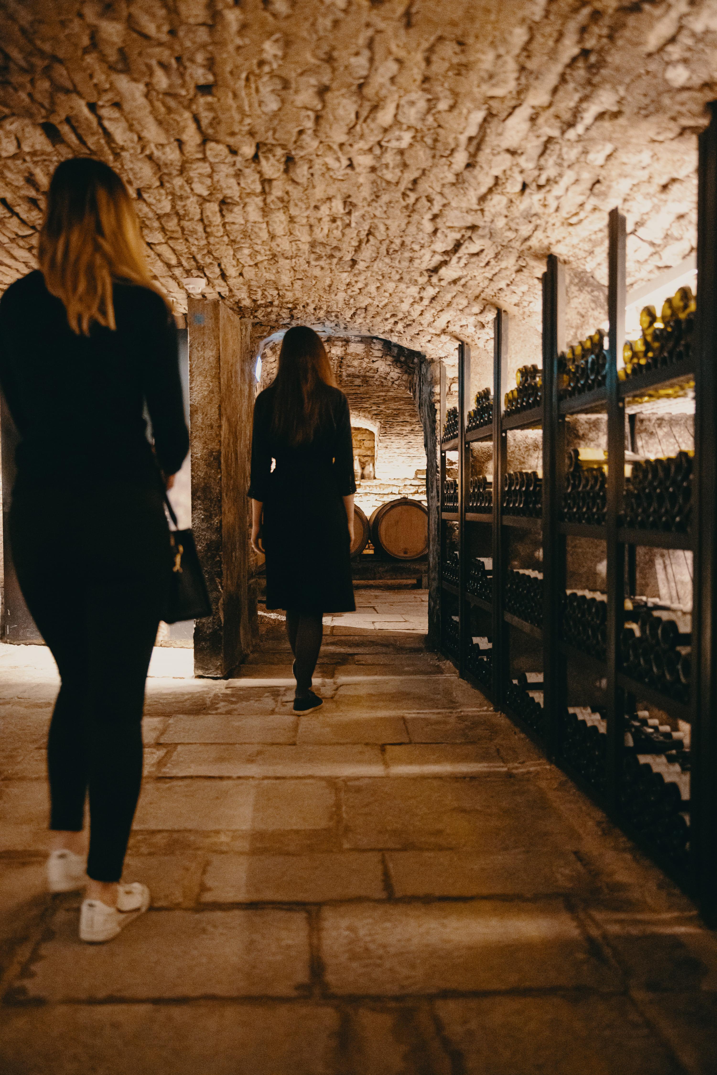 wine tour in Burgundy — Beaune: Maison Champy Guided Cellar Tour with Wine Tasting - 2026 (Verified Reviews)