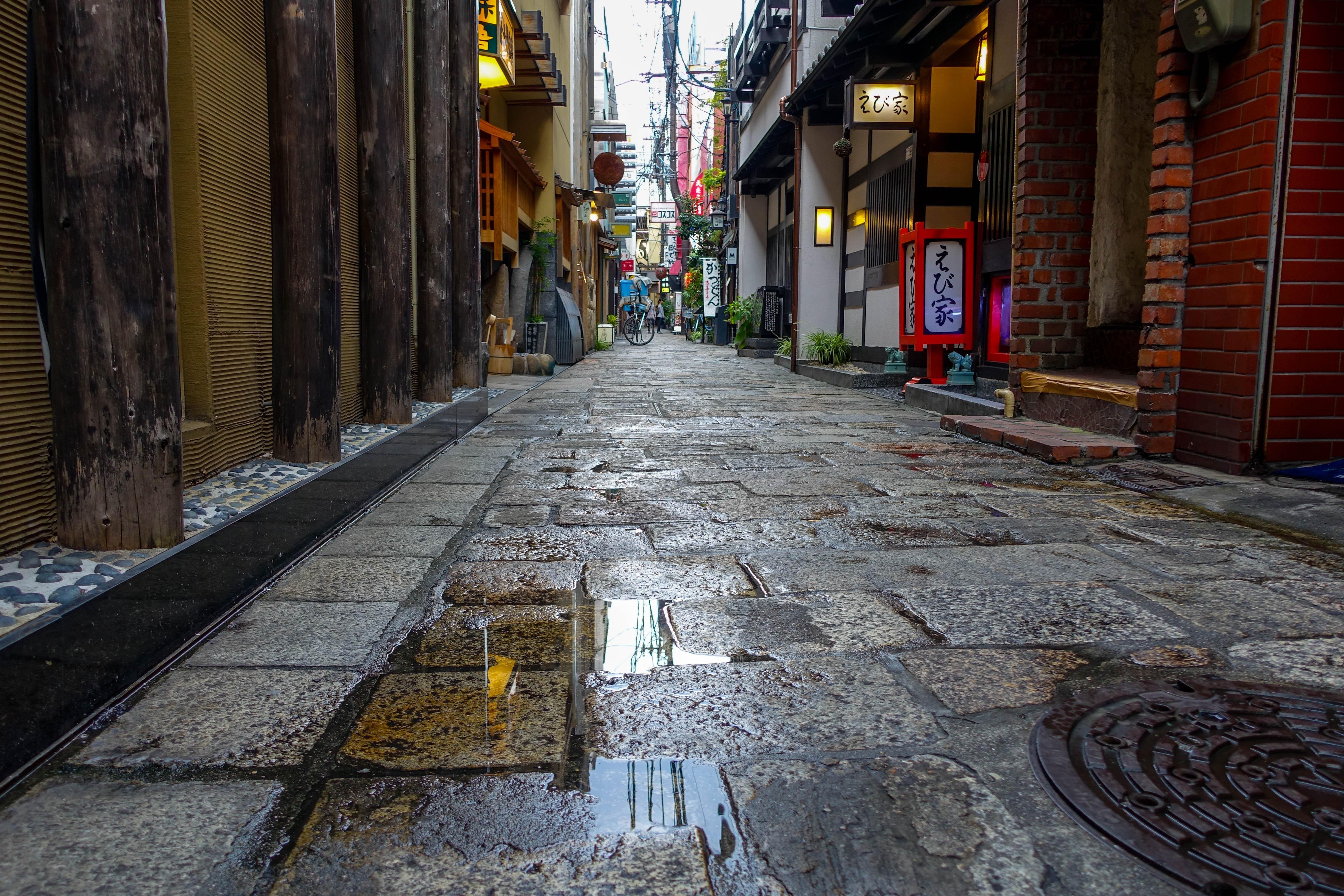 Osaka Custom Private Tour by Luxury Vehicle