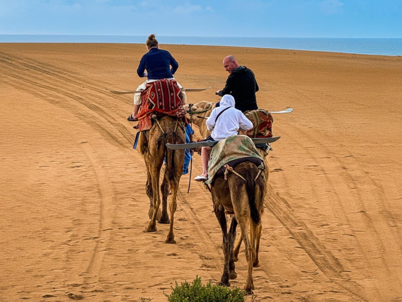 Agadir & Taghazout: Sandboarding, Camel Trek & Sunset BBQ