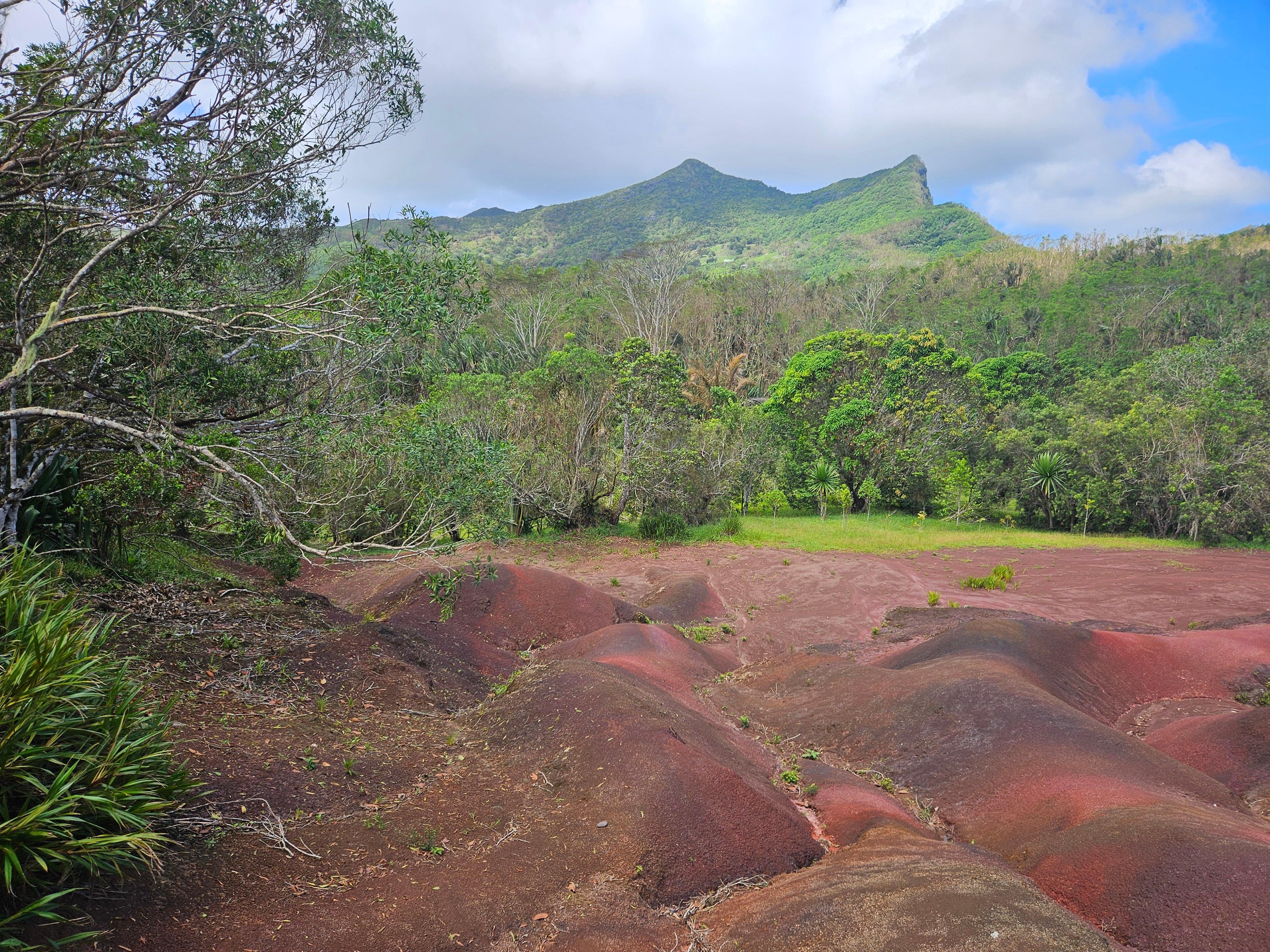Private Southwest Mauritius: Chamarel & Nature Highlights